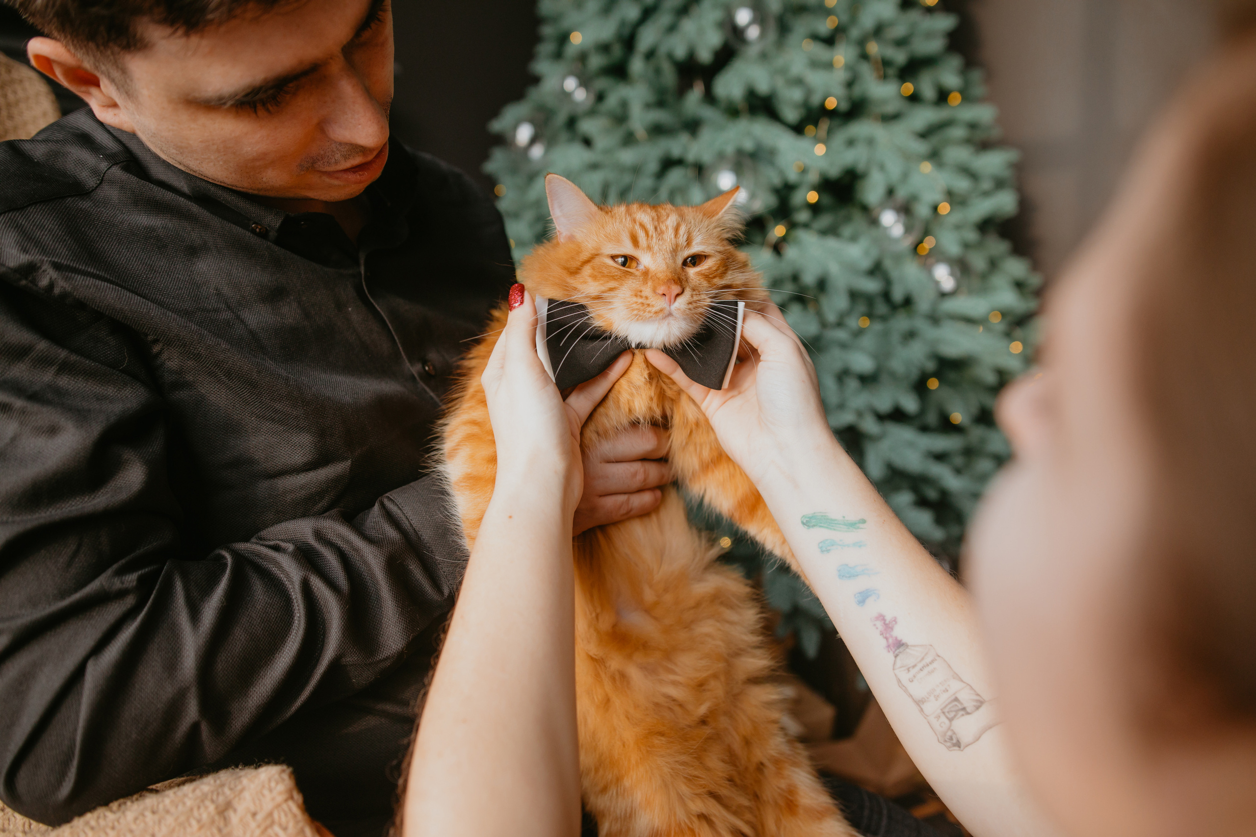 Новорічна зйомка Юлія, Андрій та Пиріжок. Весільний фотограф у Львові Мирон Роксоляна