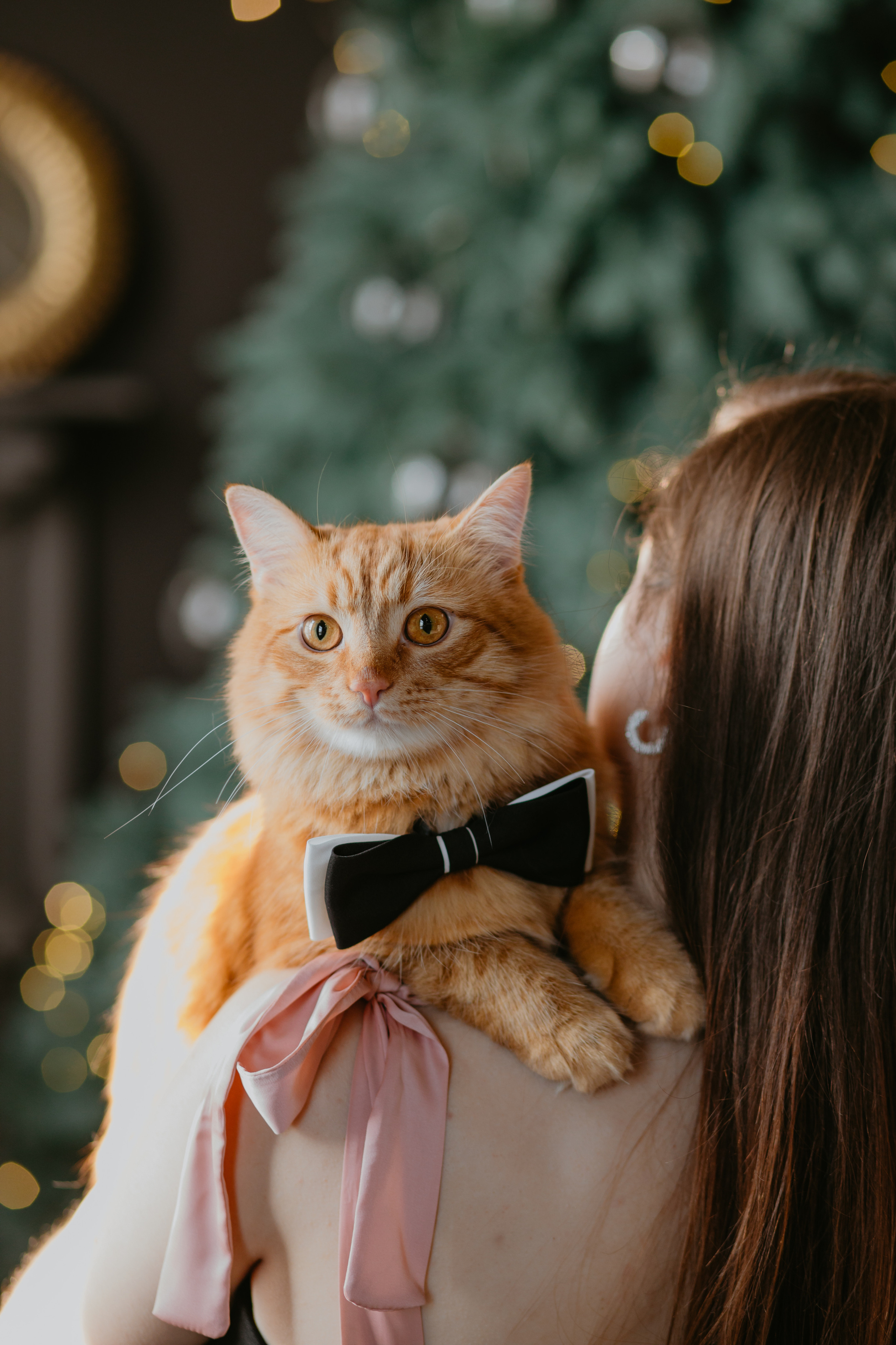 Новорічна зйомка Юлія, Андрій та Пиріжок. Весільний фотограф у Львові Мирон Роксоляна