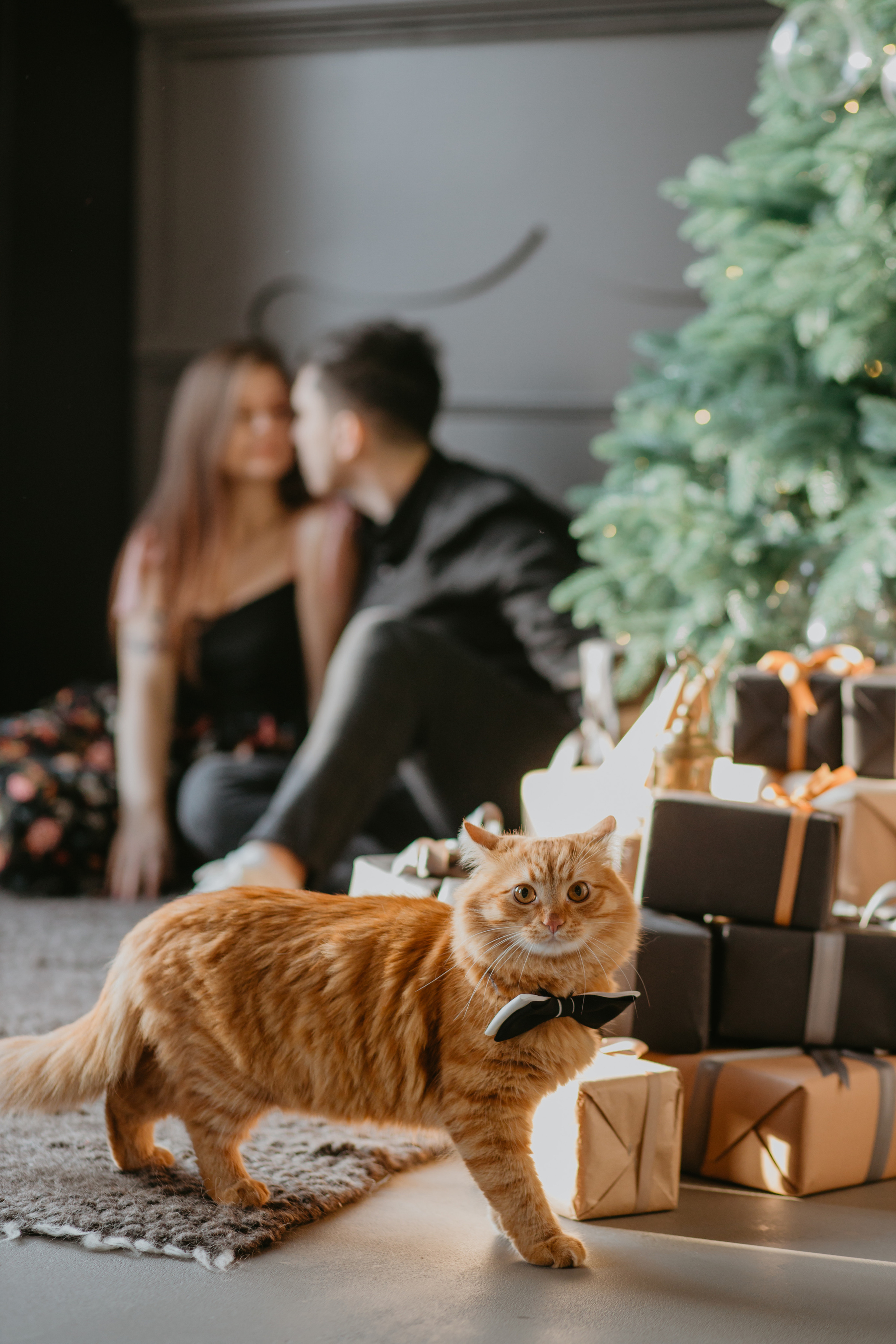 Новорічна зйомка Юлія, Андрій та Пиріжок. Весільний фотограф у Львові Мирон Роксоляна