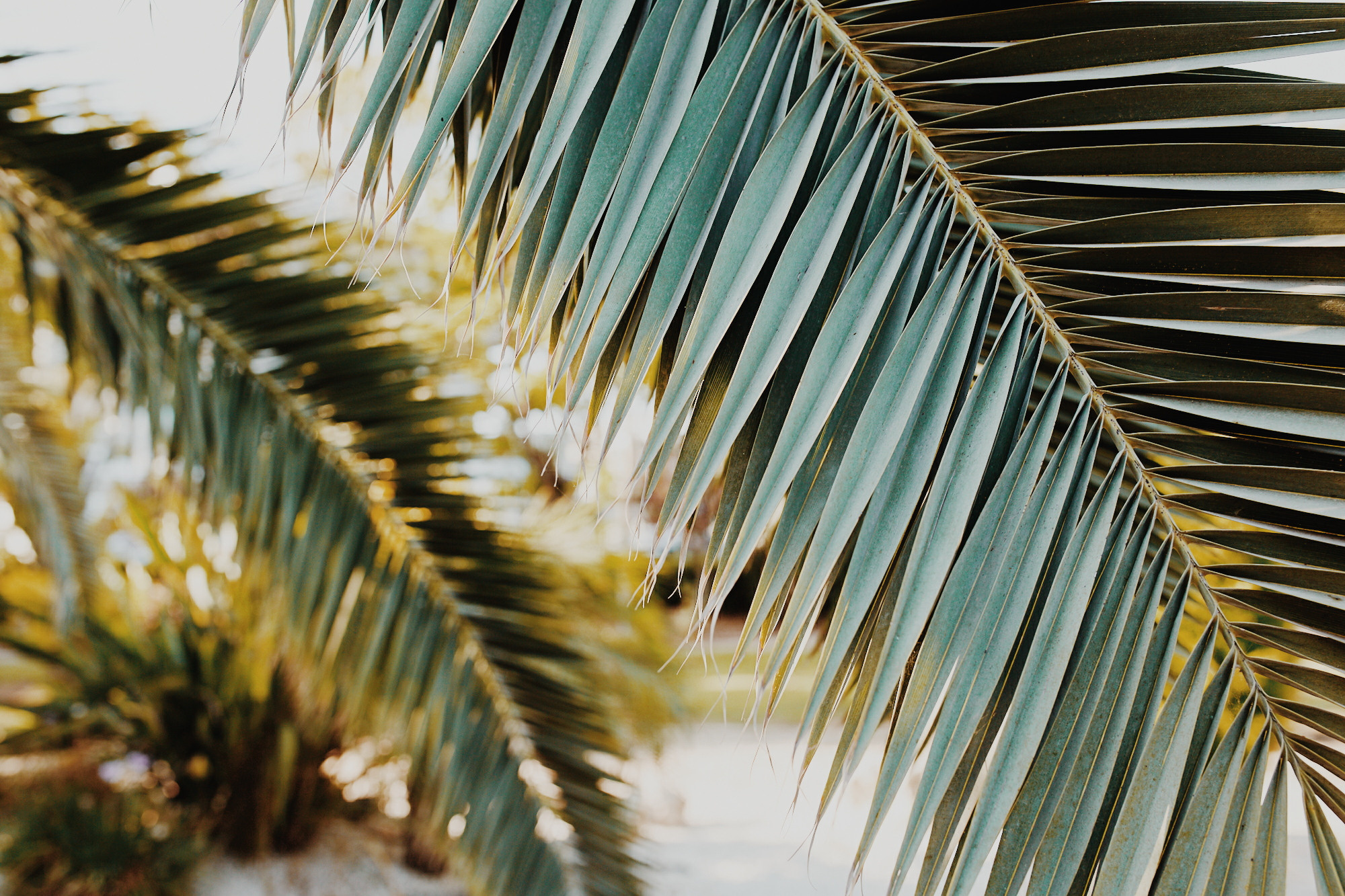 Обучение. Рекламный и портретный фотограф в Украине. Андрей Дерич