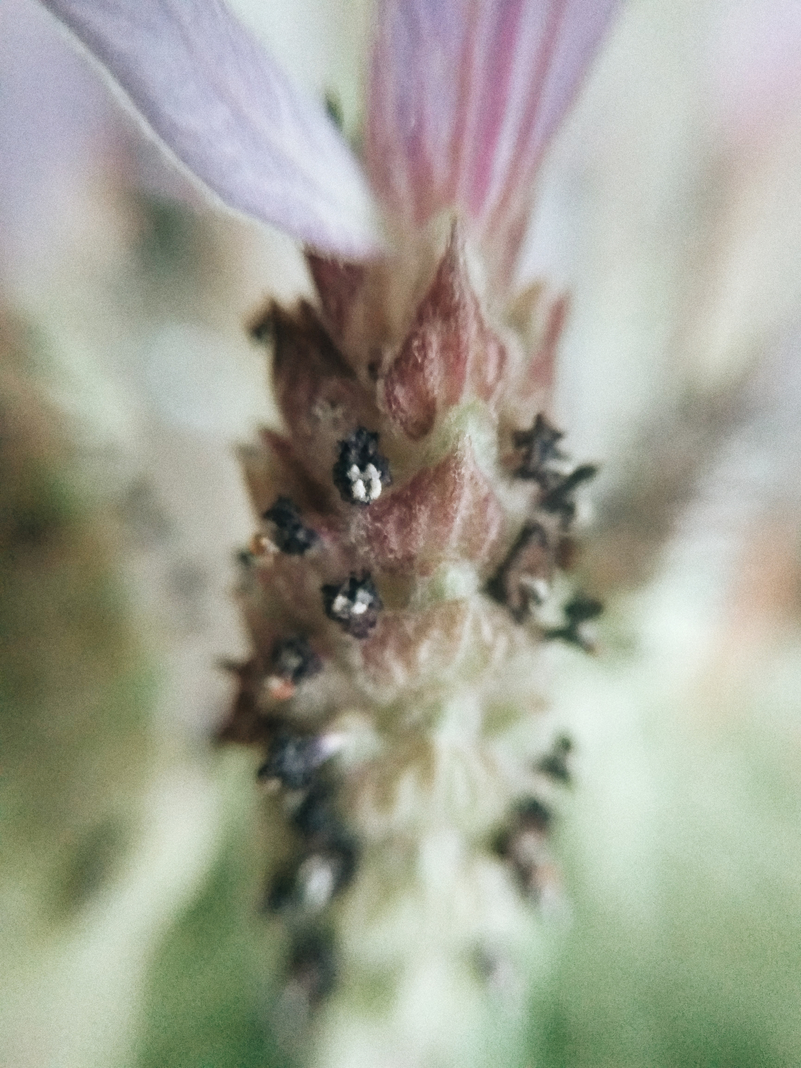 Обучение. Рекламный и портретный фотограф в Украине. Андрей Дерич