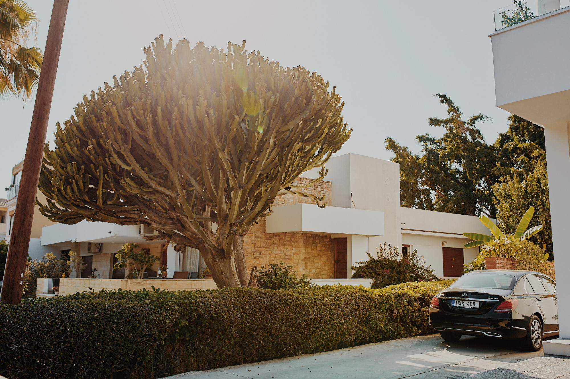 Обучение. Рекламный и портретный фотограф в Украине. Андрей Дерич