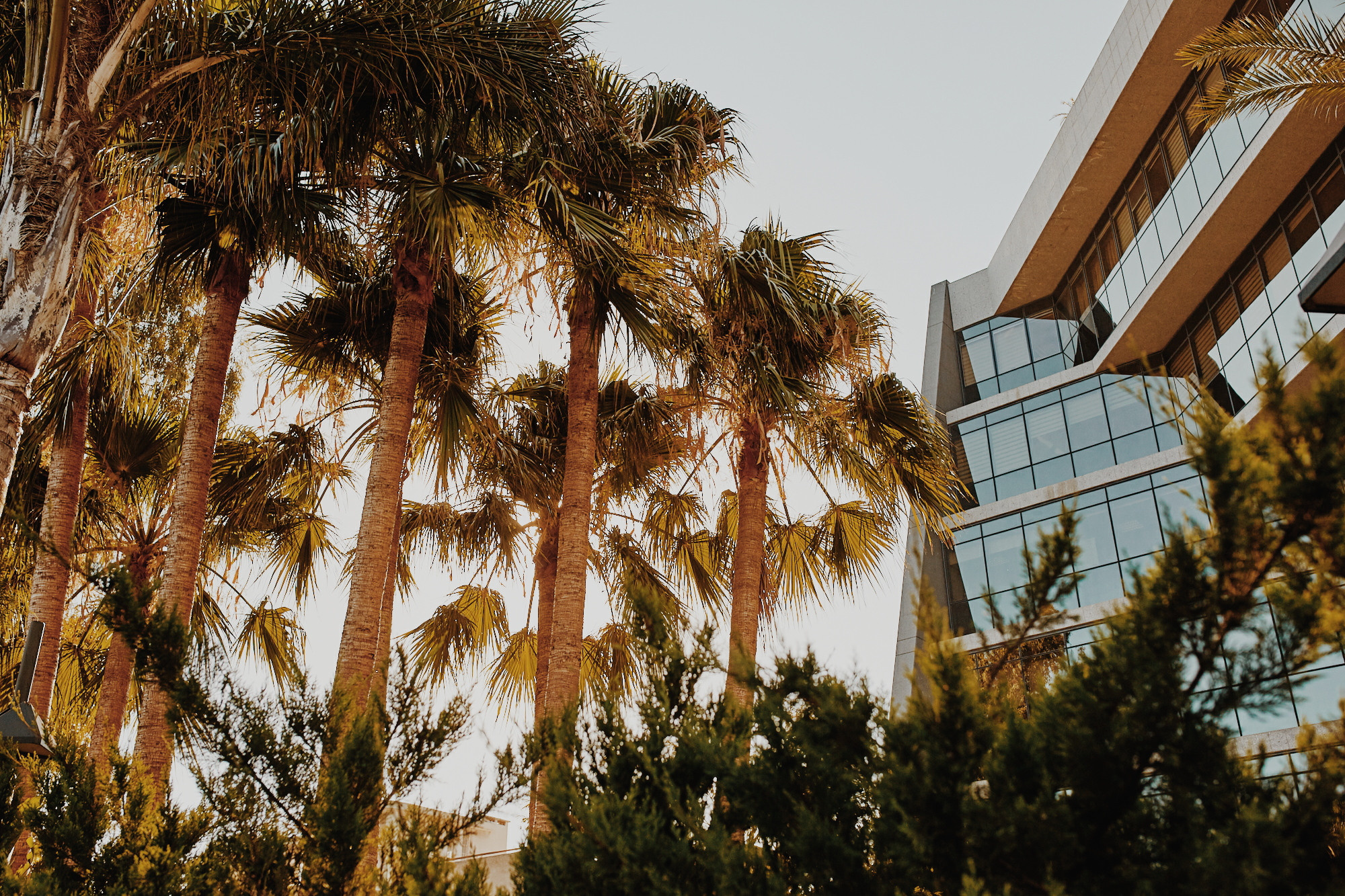 Обучение. Рекламный и портретный фотограф в Украине. Андрей Дерич