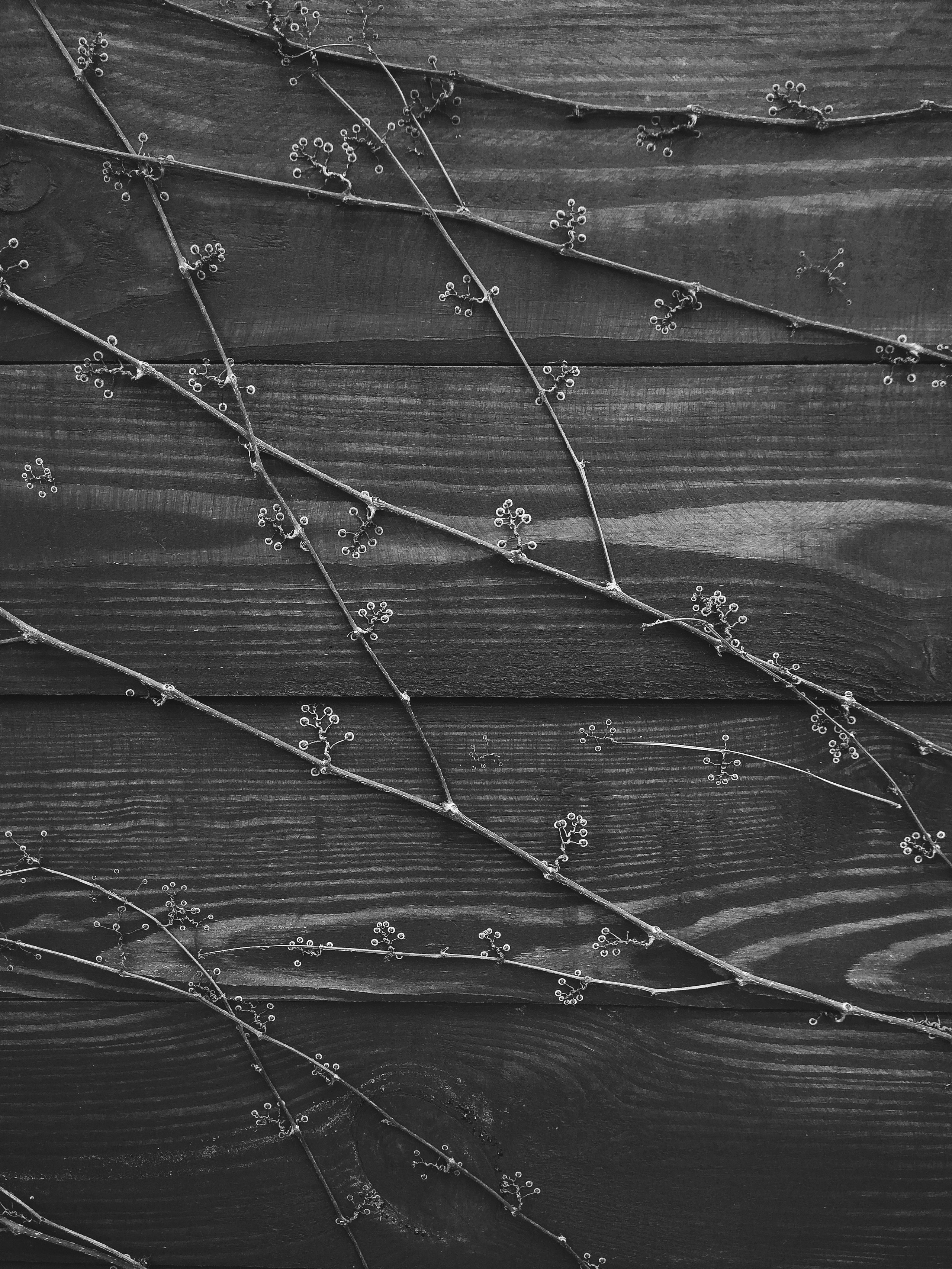 Обучение. Рекламный и портретный фотограф в Украине. Андрей Дерич