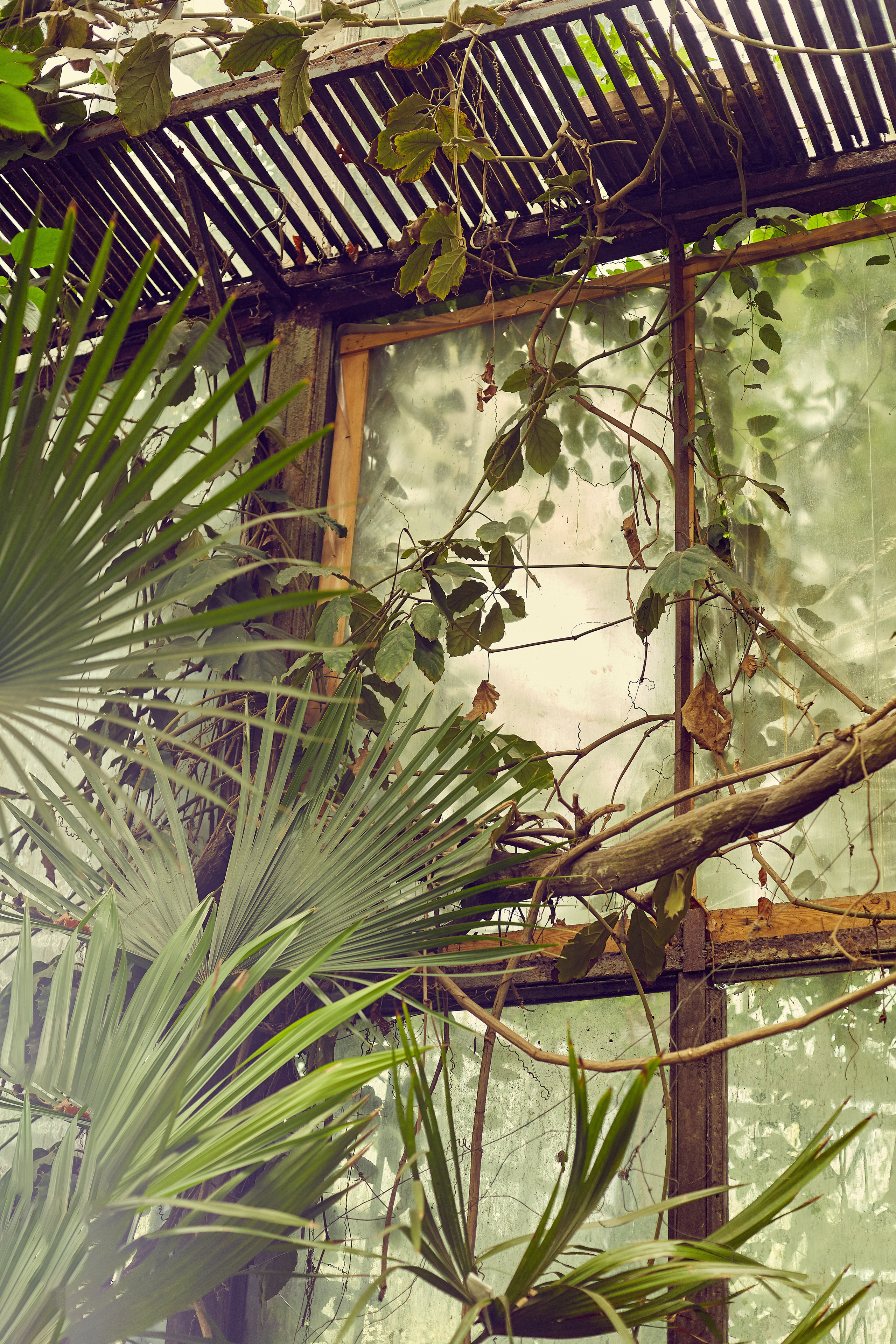 Обучение. Рекламный и портретный фотограф в Украине. Андрей Дерич