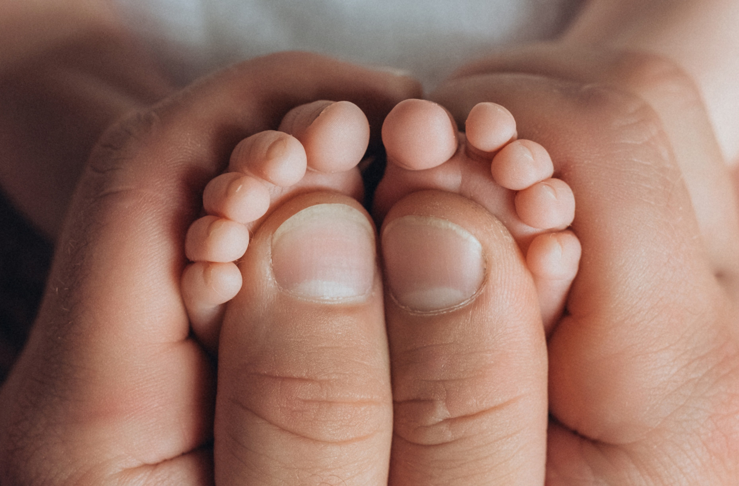 Питання та відповіді. Семейный фотограф Екатерина Воробьева