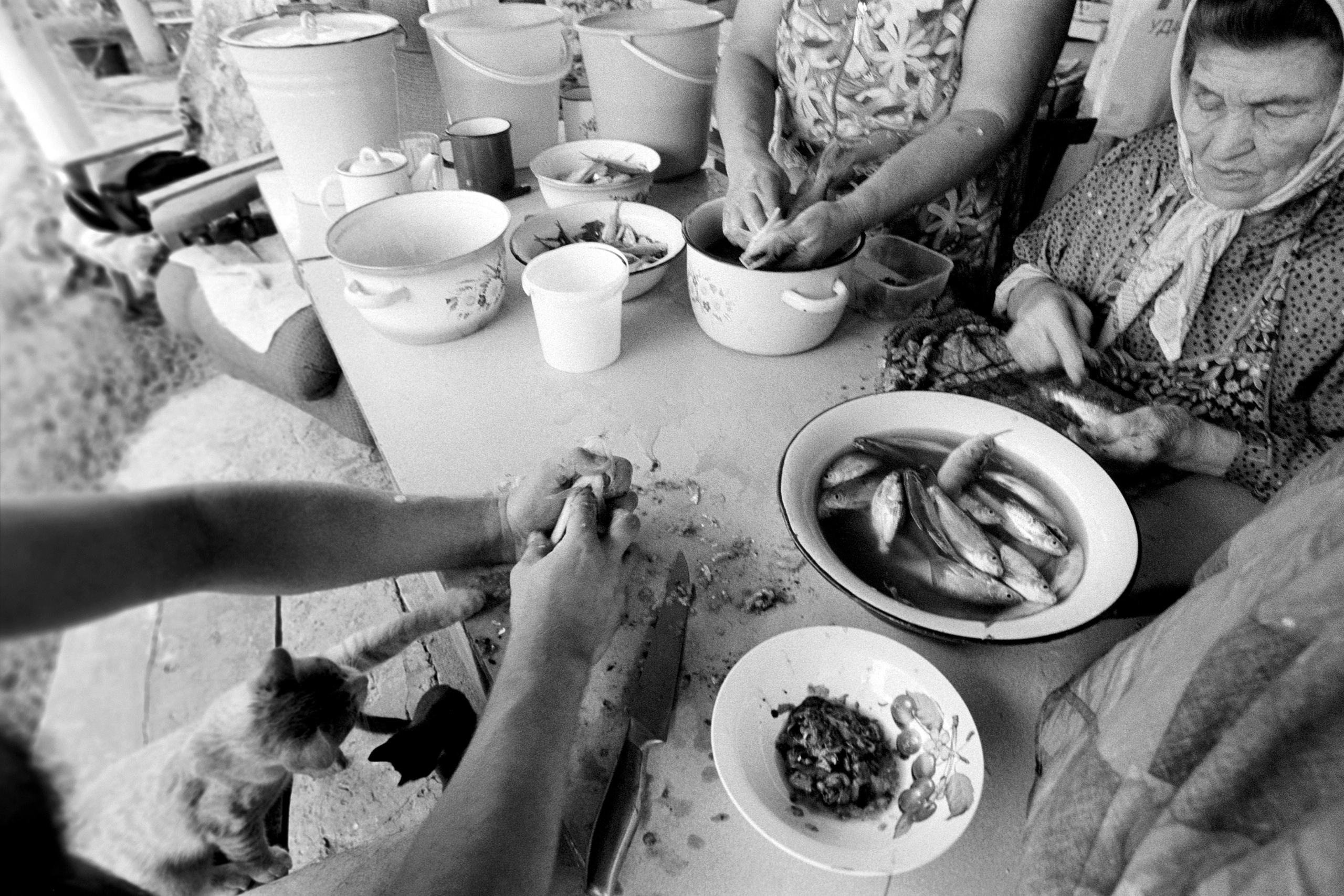 The Festival of Ethical Photography. Misha Maslennikov. Documentary photography. Odessa