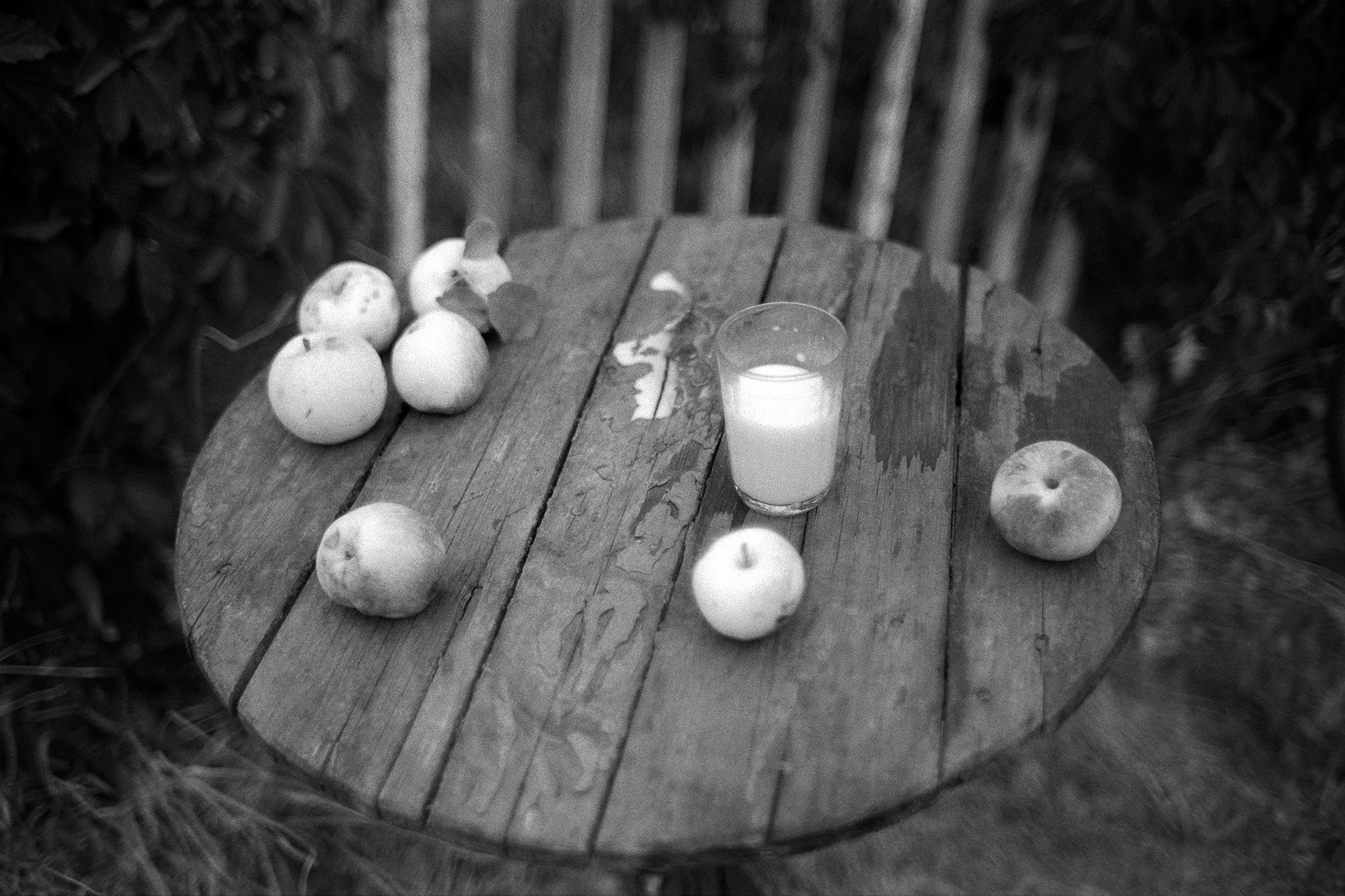 PhotoTOP Still Life 2022. Миша Масленников. Документальная фотография. Одесса