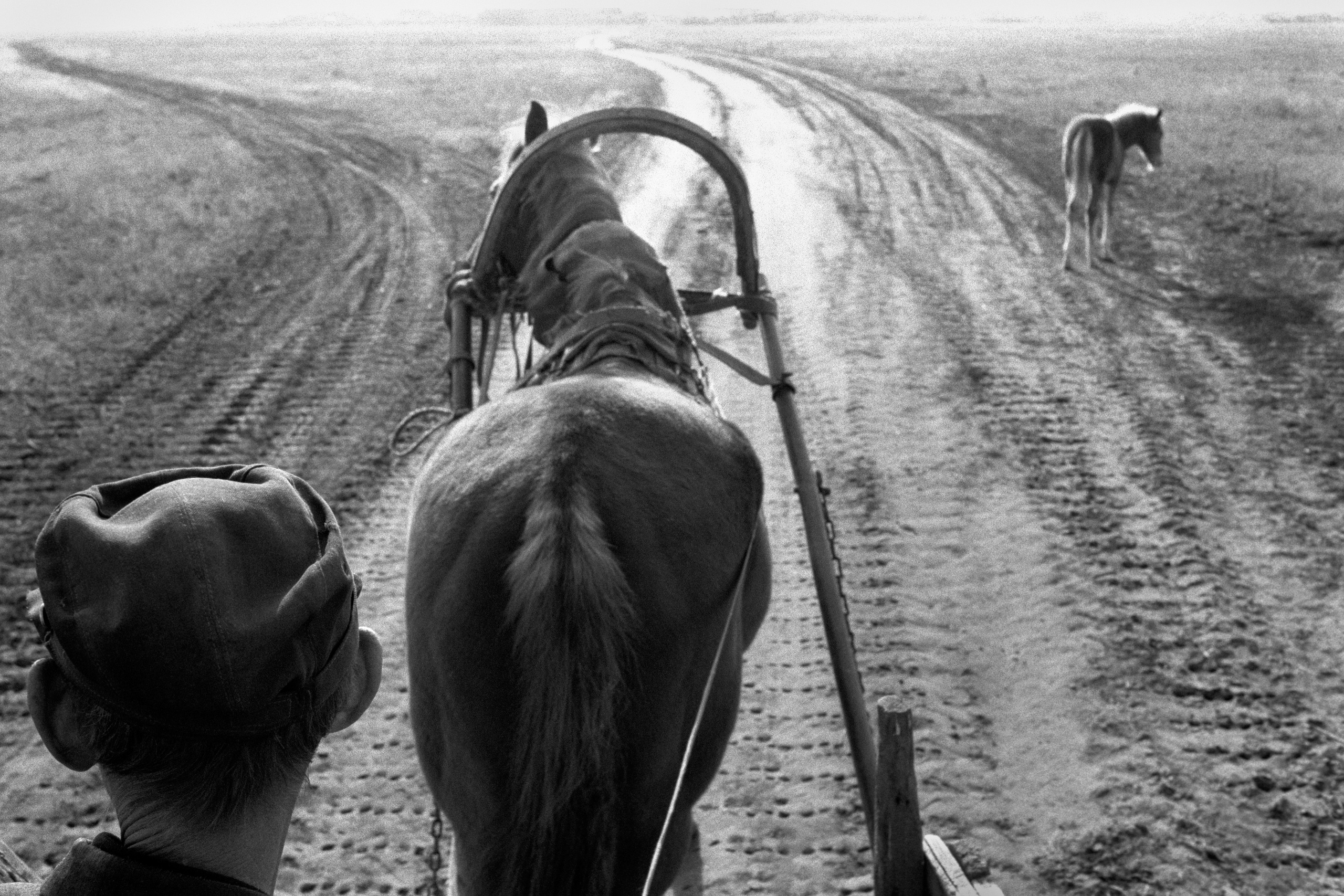 The Festival of Ethical Photography. Misha Maslennikov. Documentary photography. Odessa