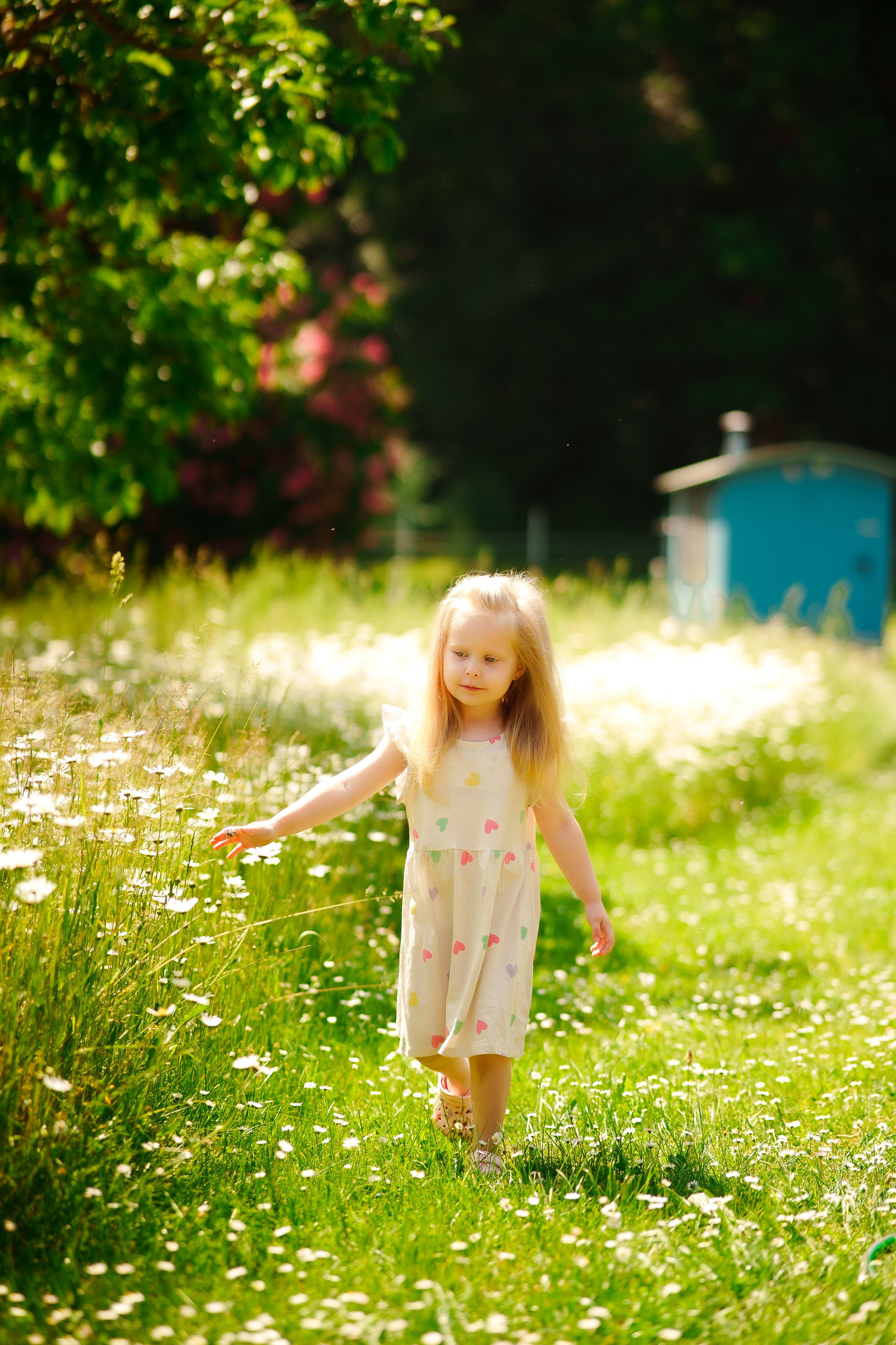Familienfotoshootings und Love Story ❤️. Foto • Video • Produktion • Luftbildaufnahmen • Erstellung von Medien
