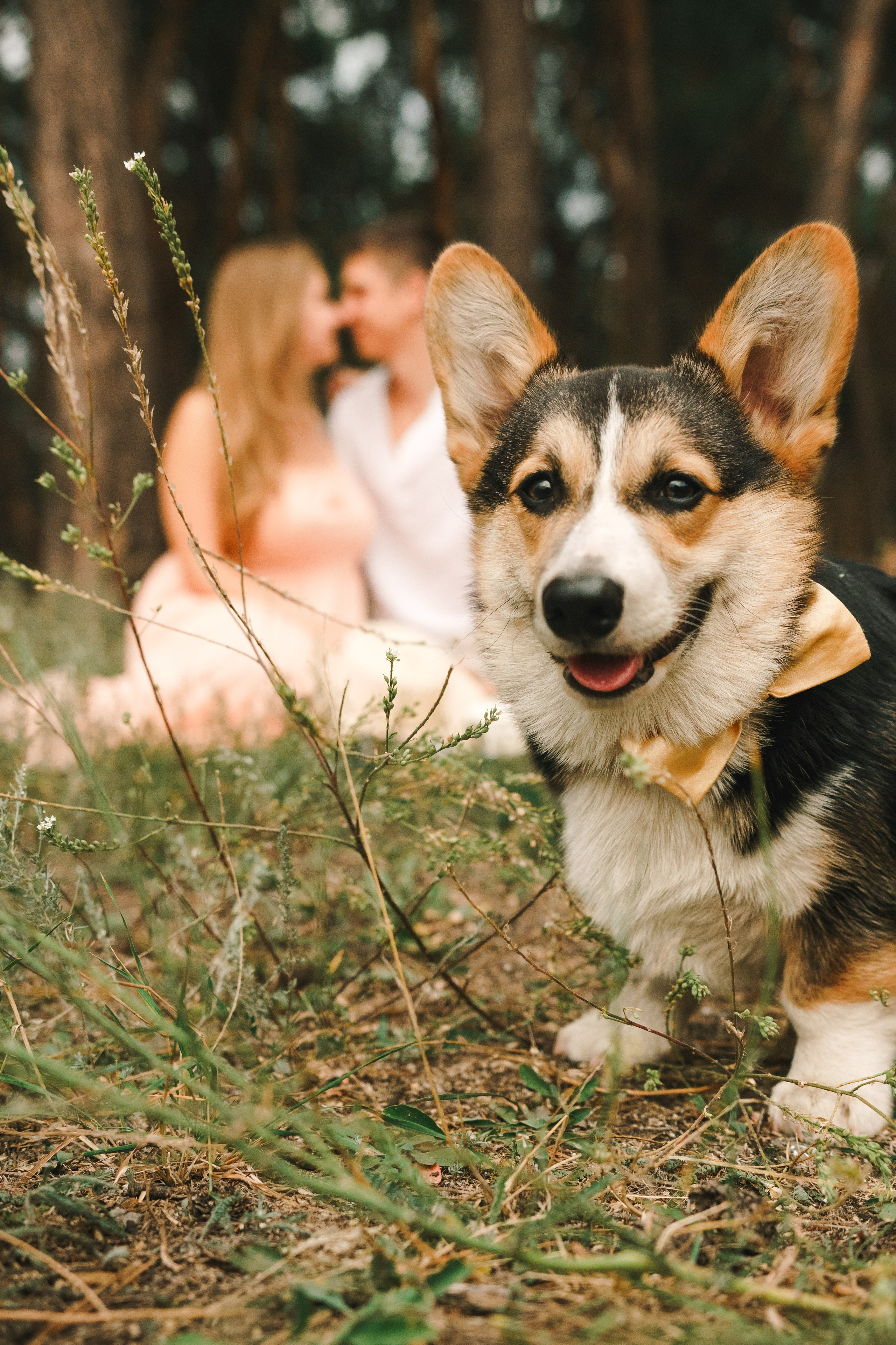 Familienfotoshootings und Love Story ❤️. Foto • Video • Produktion • Luftbildaufnahmen • Erstellung von Medien