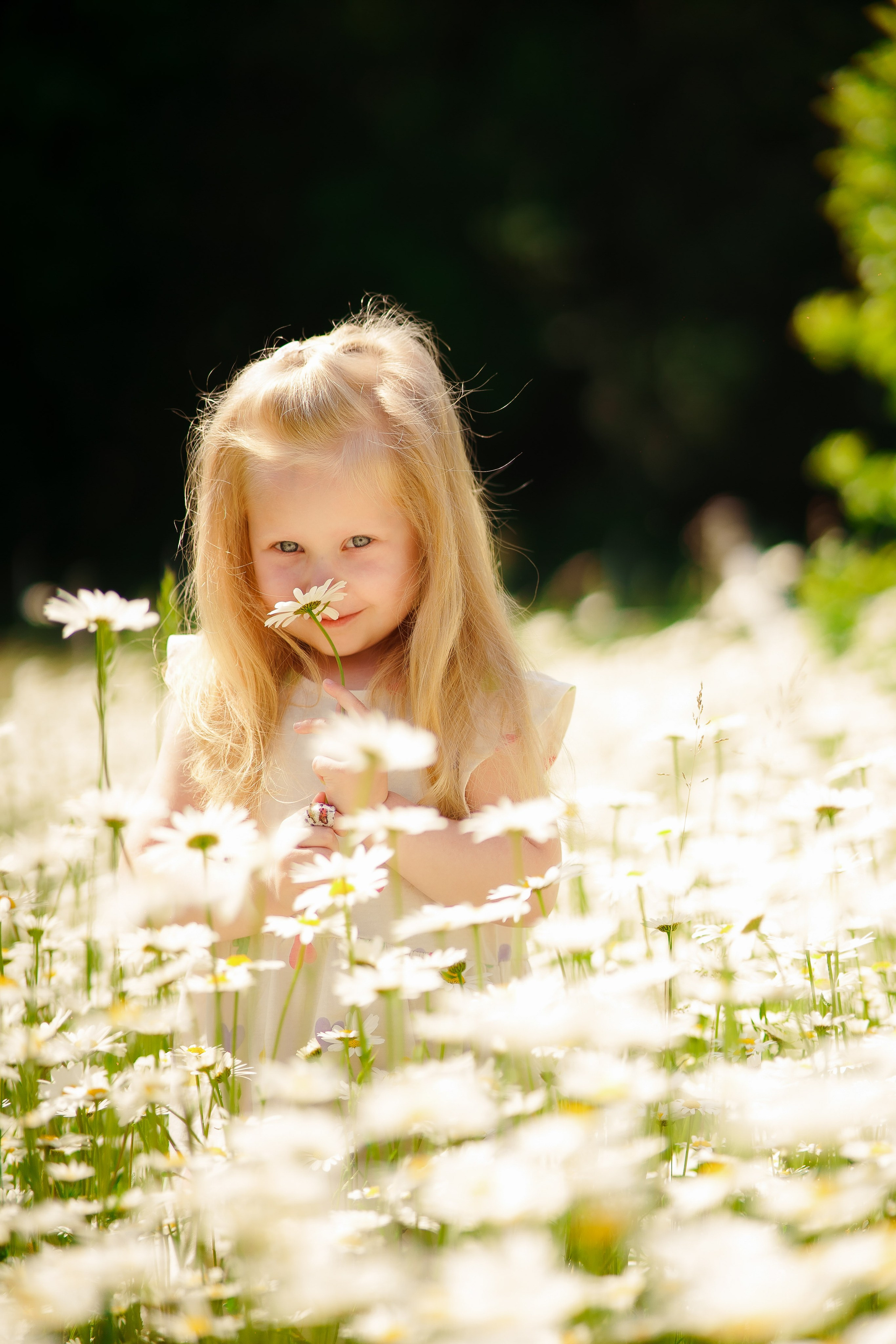 Familienfotoshootings und Love Story ❤️. Foto • Video • Produktion • Luftbildaufnahmen • Erstellung von Medien