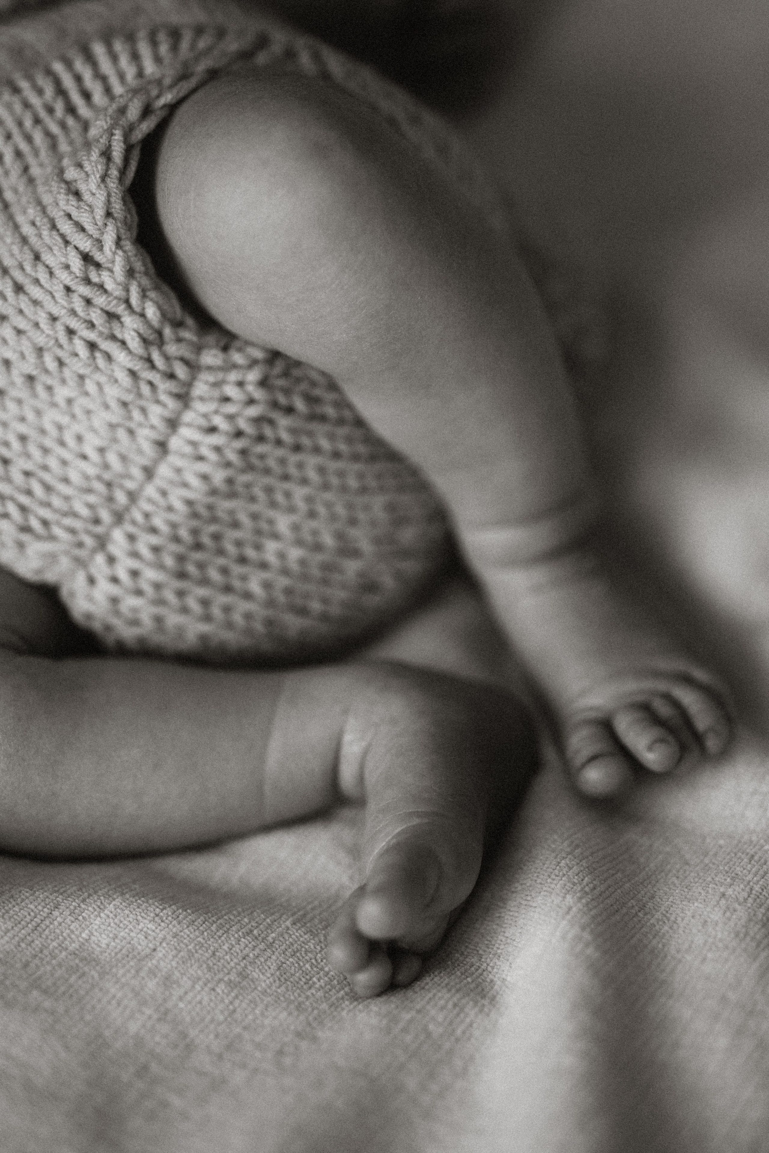 Portraits. Wedding photographer Elvira Brovdi