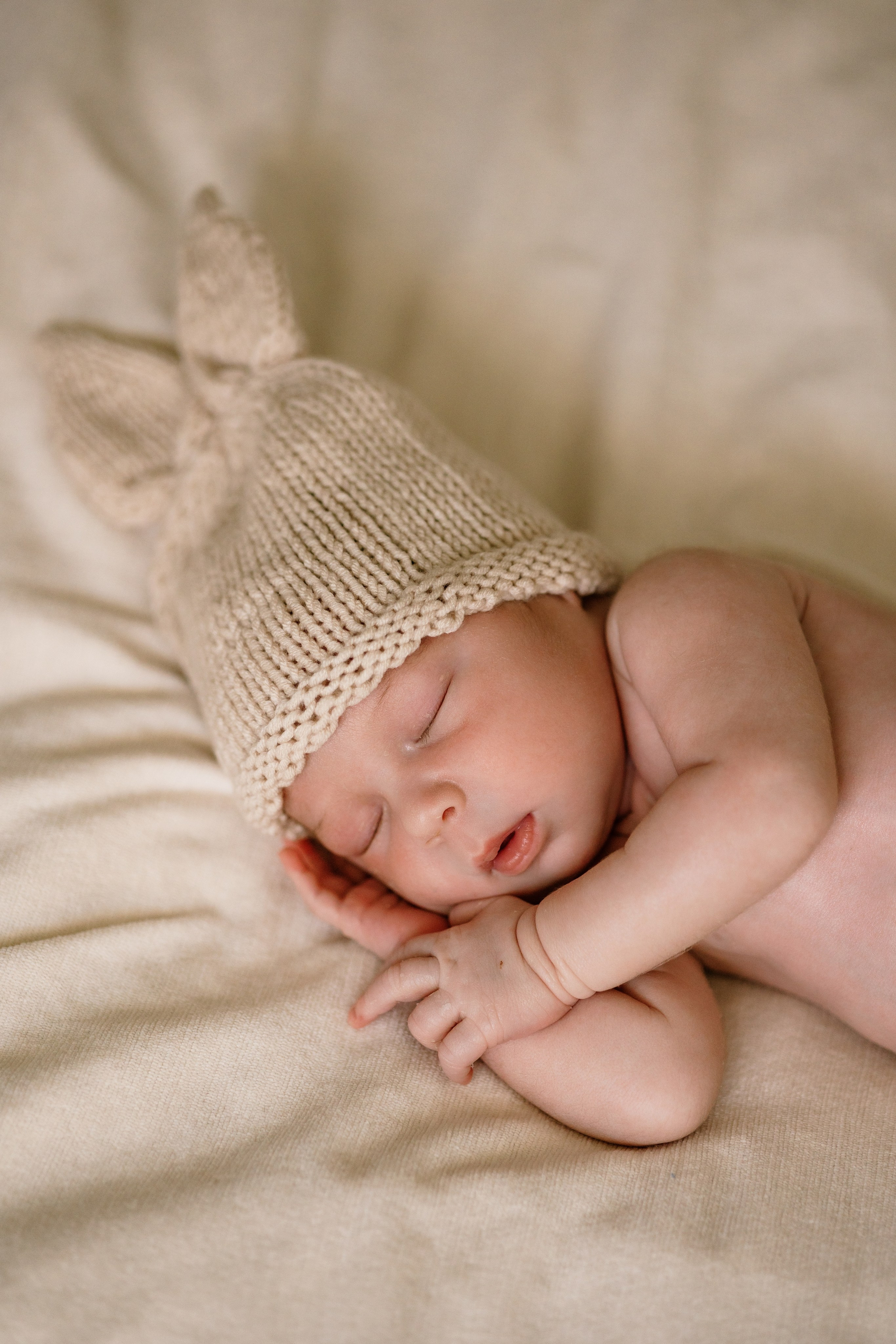 Portraits. Wedding photographer Elvira Brovdi