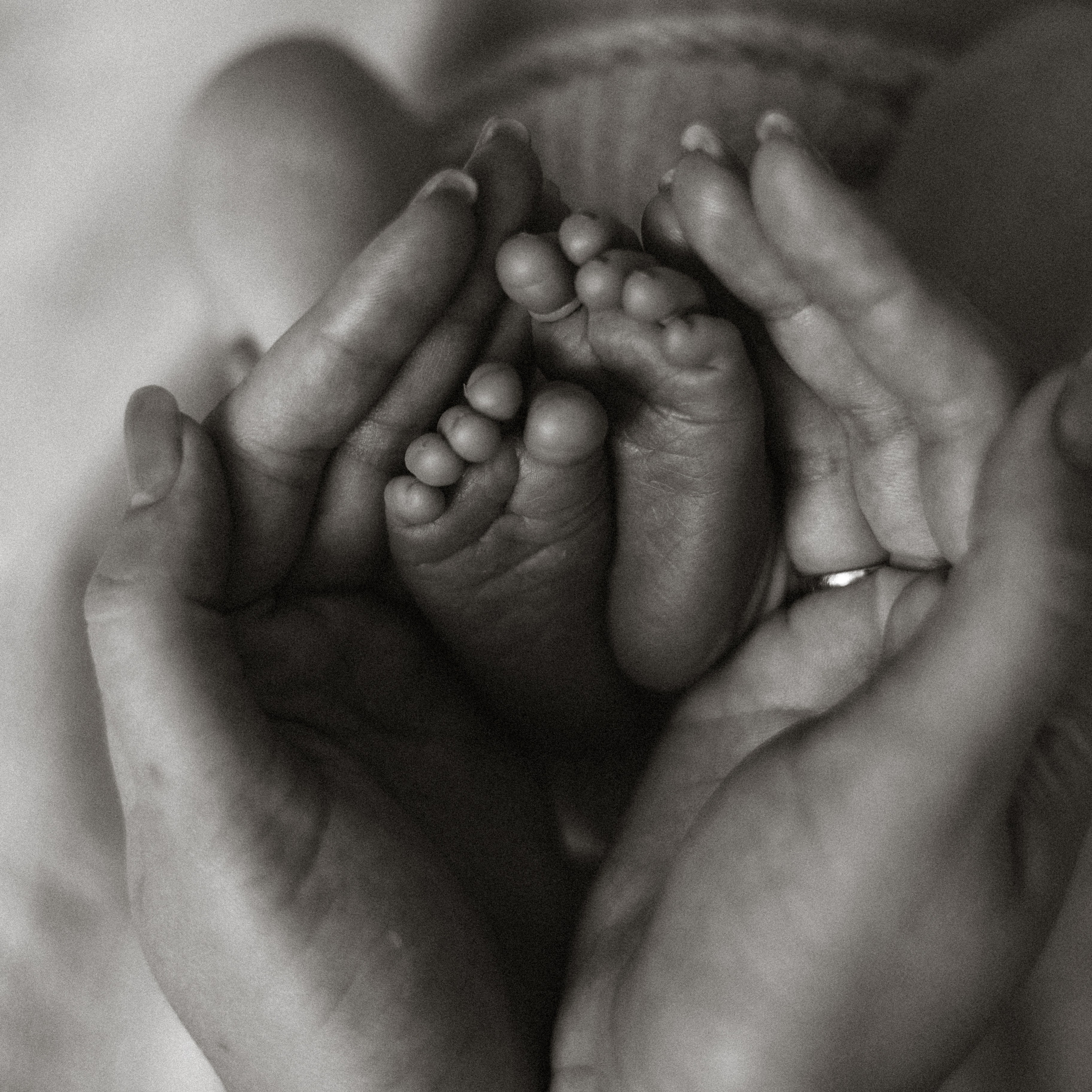 Portraits. Wedding photographer Elvira Brovdi