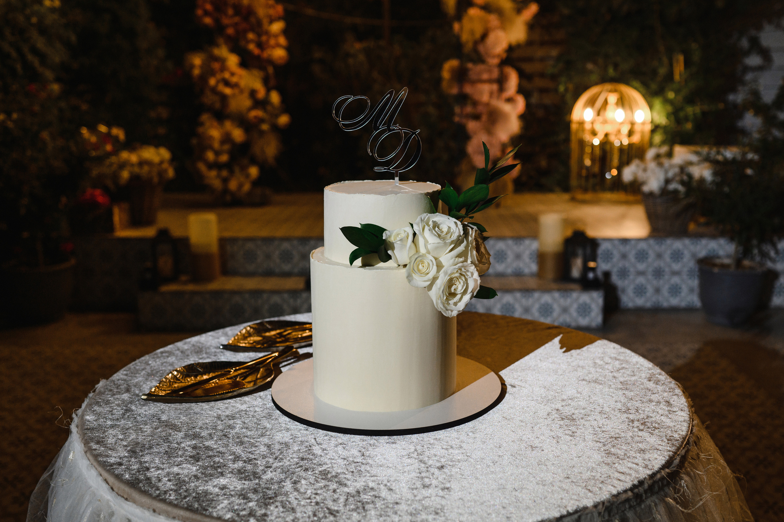 Превью свадьбы Миши и Дианы