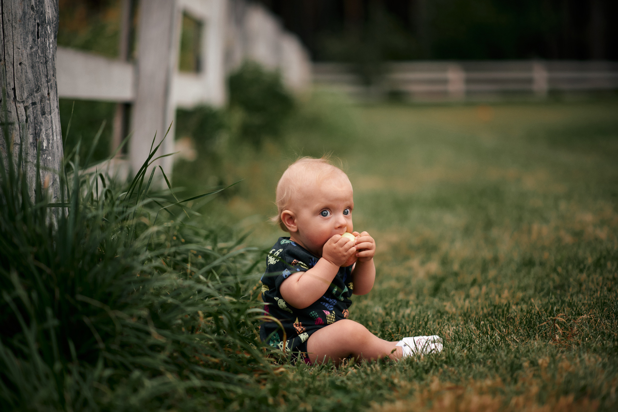 Сімейні зйомки. Фотограф Шепетівка, вся Україна, Дзекан Денис!