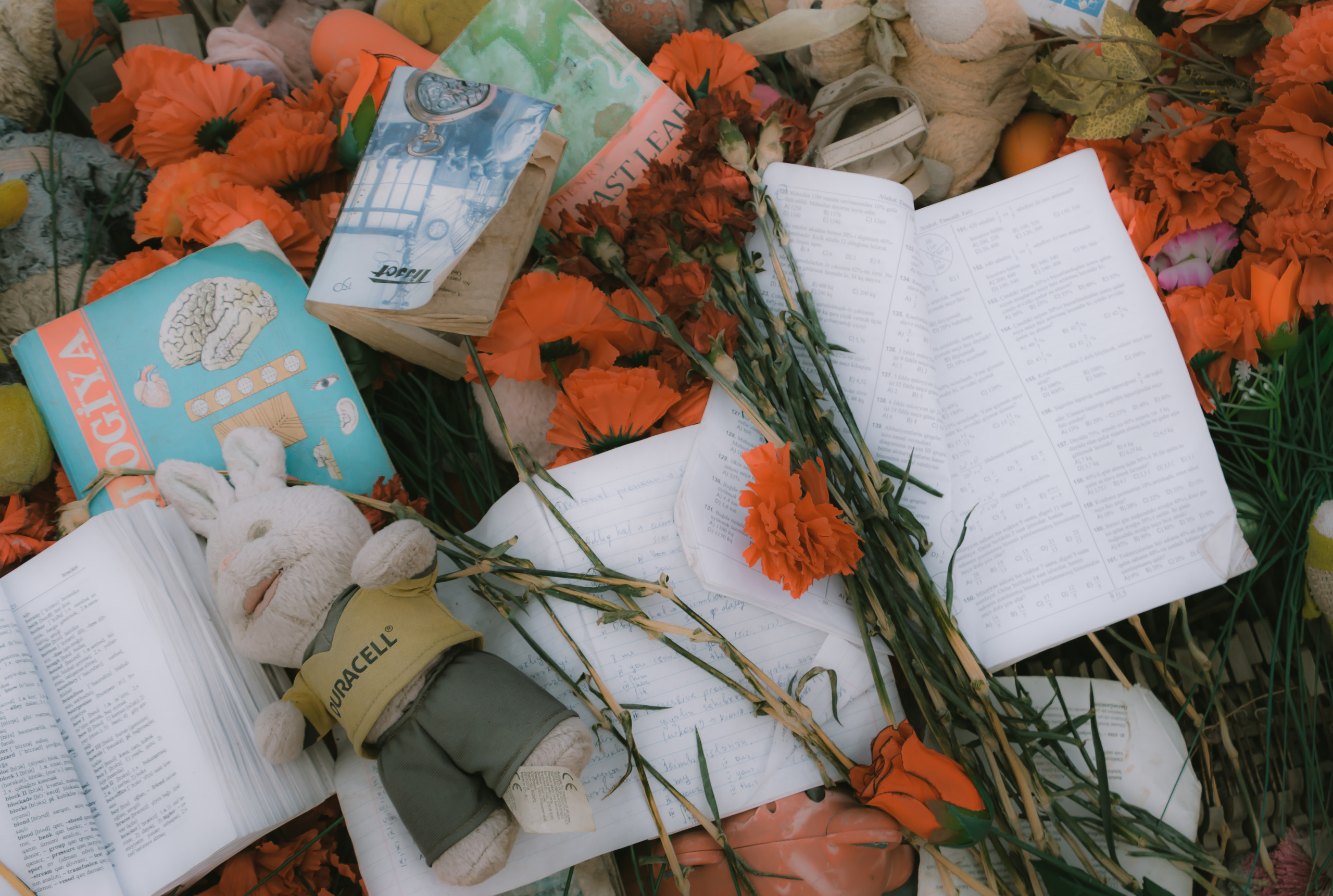 Traces of War. Sergey Kior