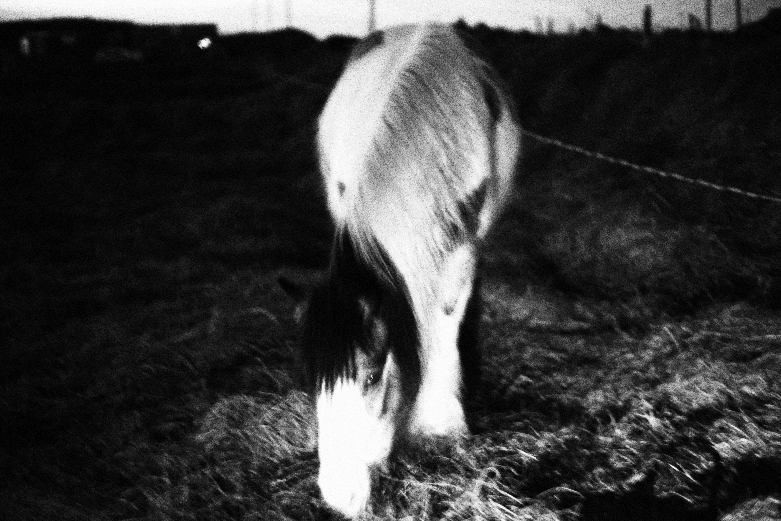 Sherkin Island at night. Sergey Kior