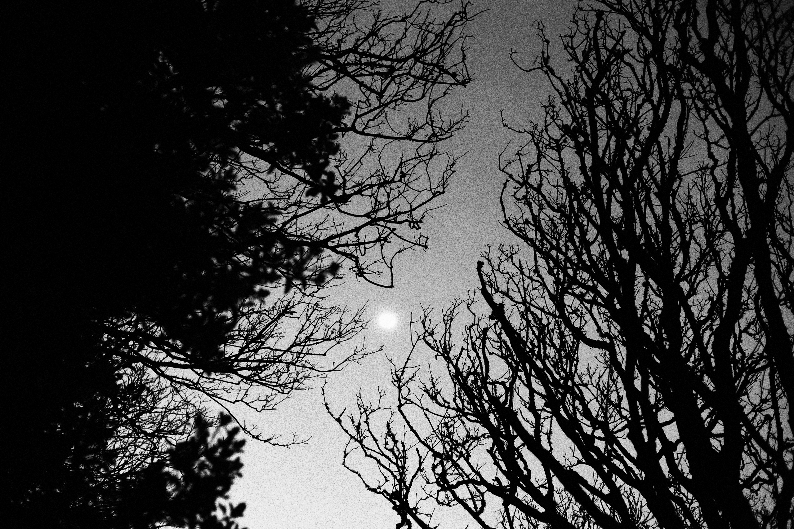 Sherkin Island at night. Sergey Kior