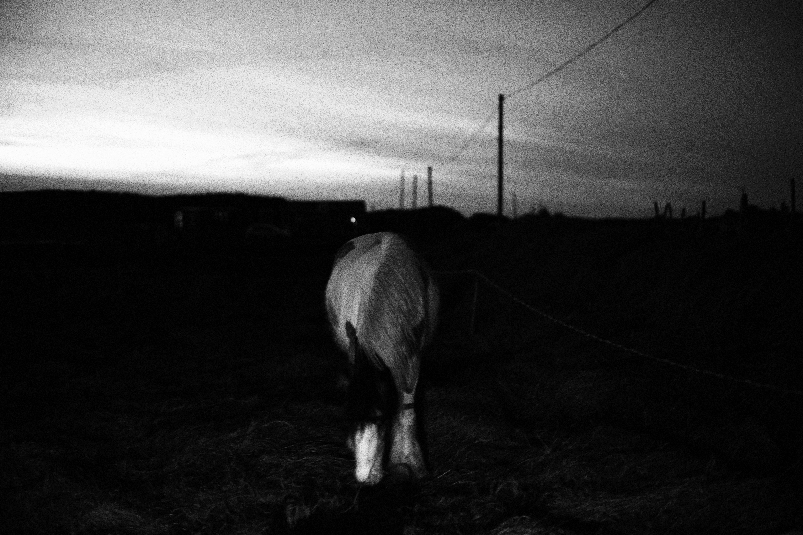 Sherkin Island at night. Sergey Kior