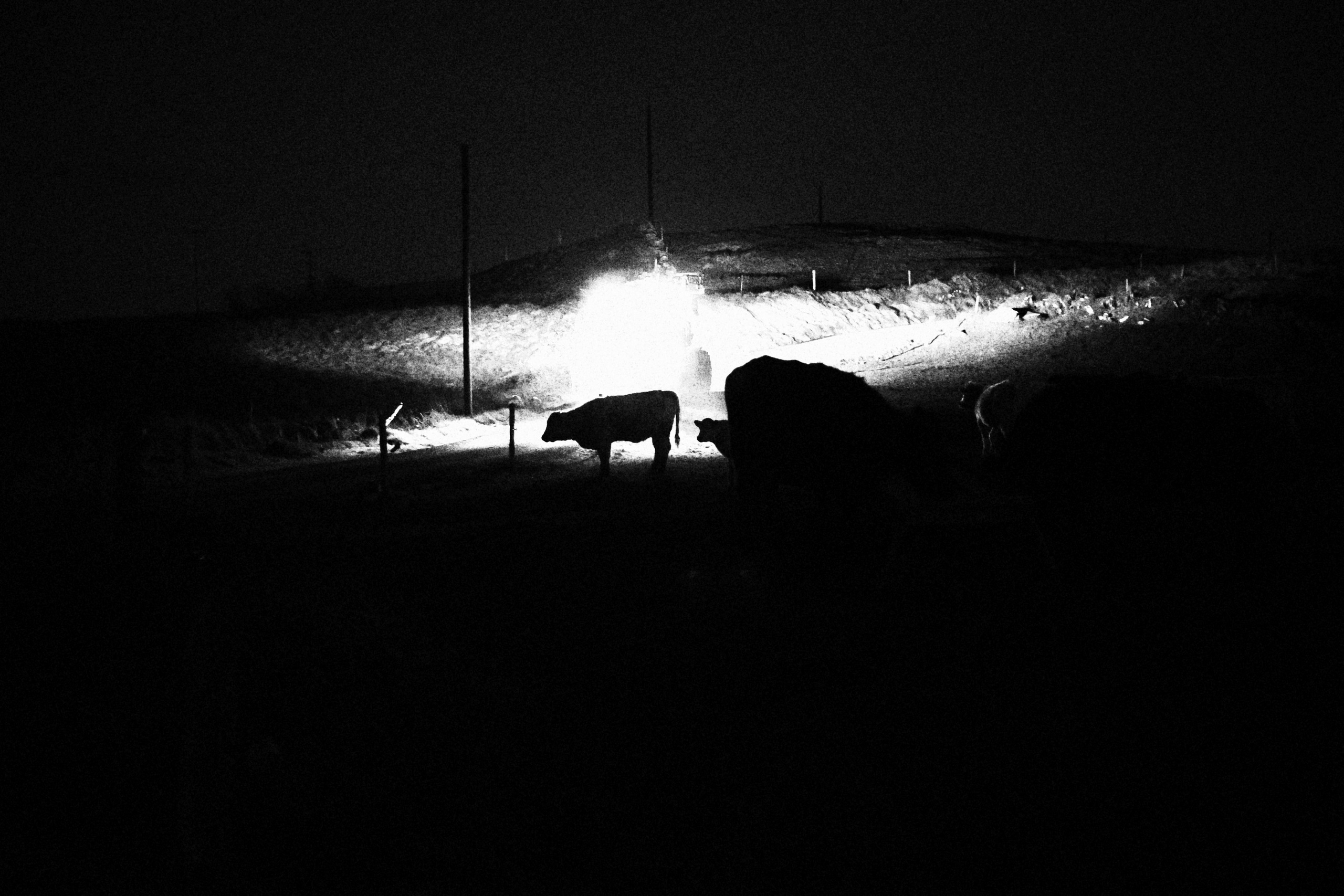 Sherkin Island at night. Sergey Kior