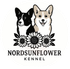 nordsunflowerkennel.wfolio.pro