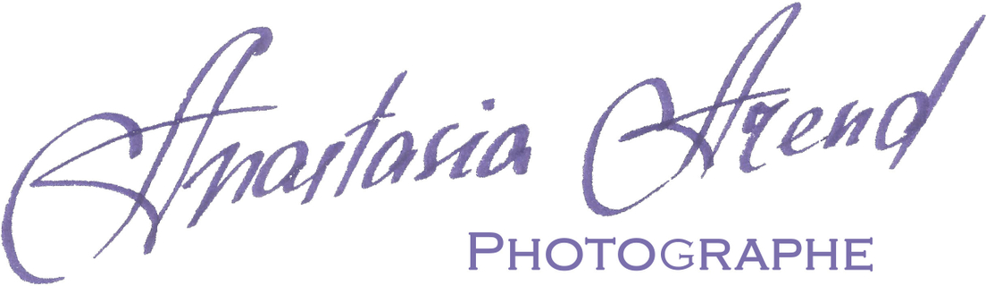 anastasia-arend.lu