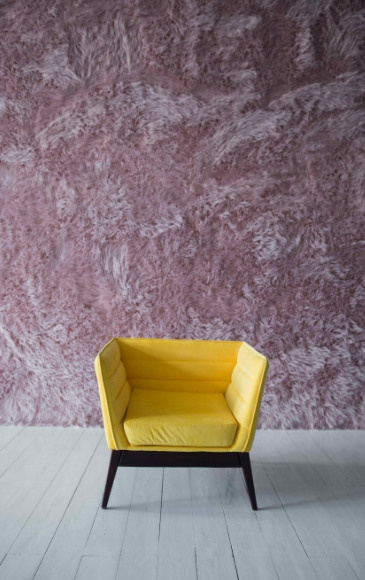 Фотостудії Києва. Сімейний і портретний фотограф у Києві Проценко Алла