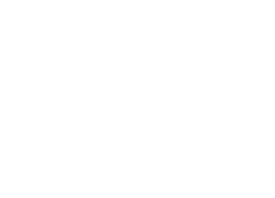 supreme-travel.com