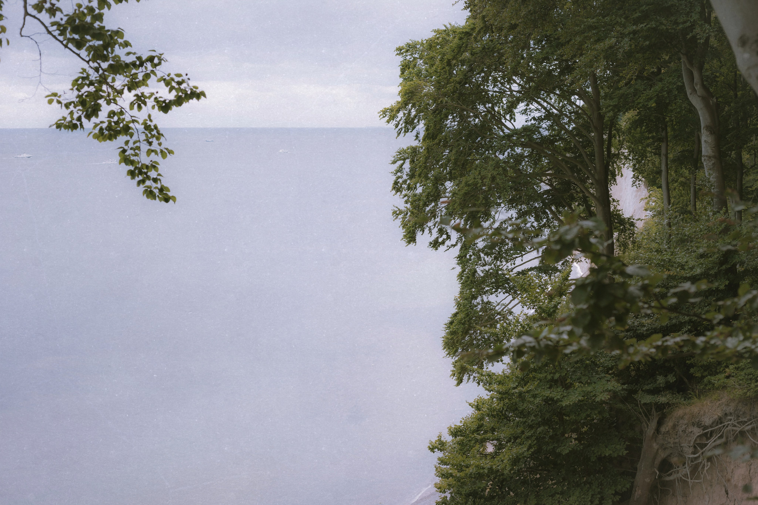 Rügen