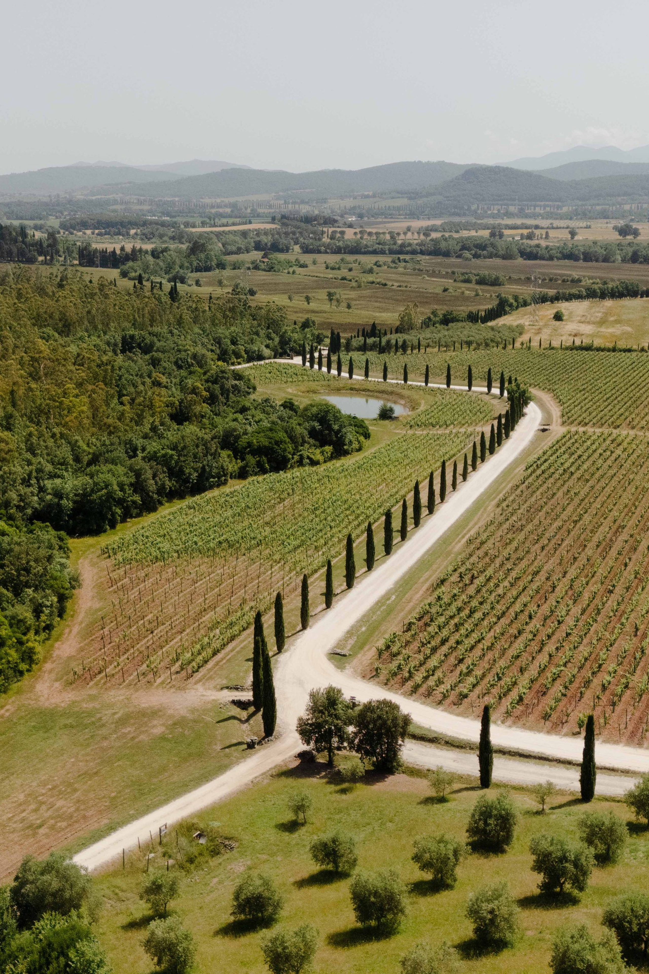 Intimate Luxury Elopement on Lake Garda | Villa Cortine Palace. Alessandra Zanghi | Garda Lake Wedding Planner