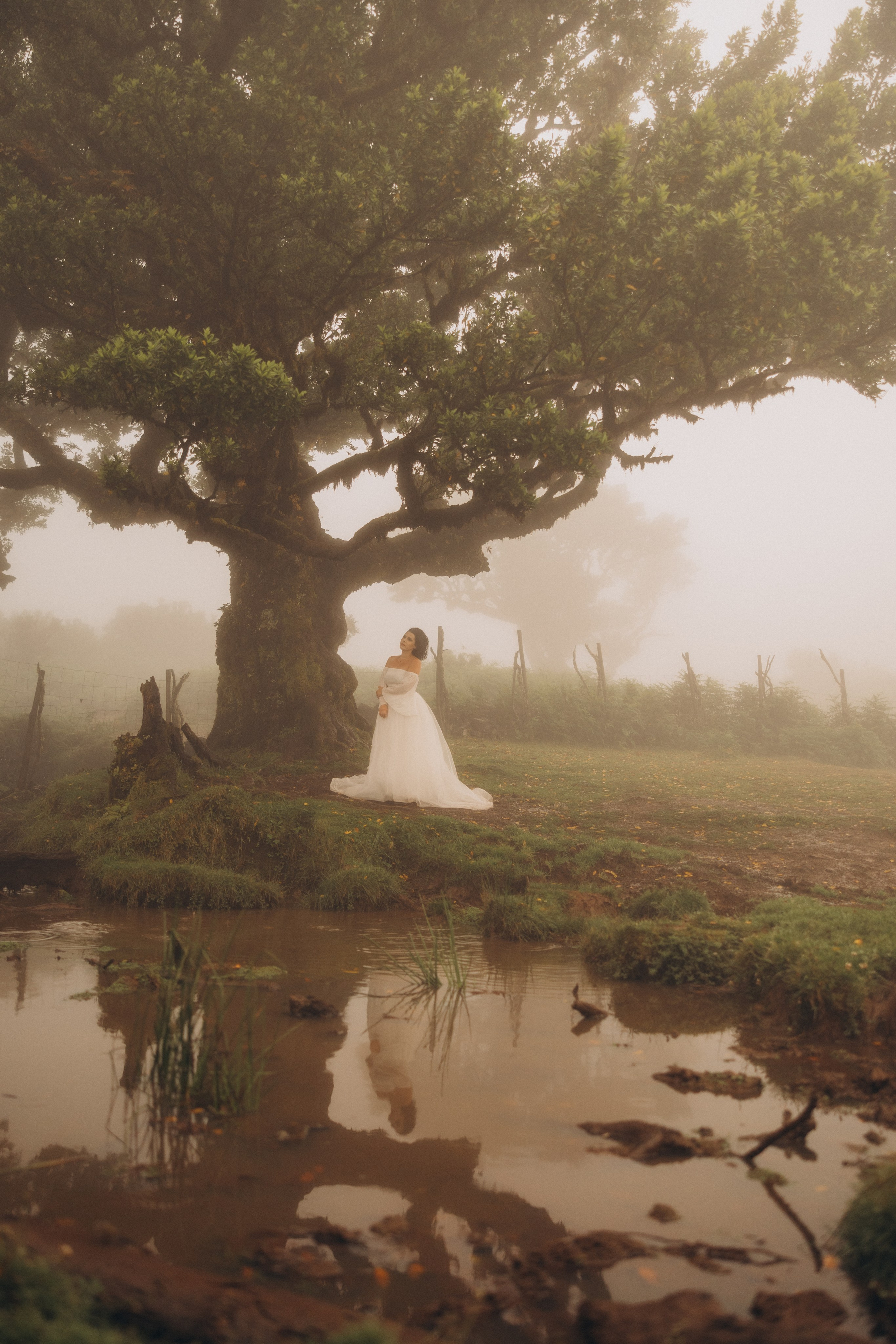 New photoshoots in Madeira: capture your moments!