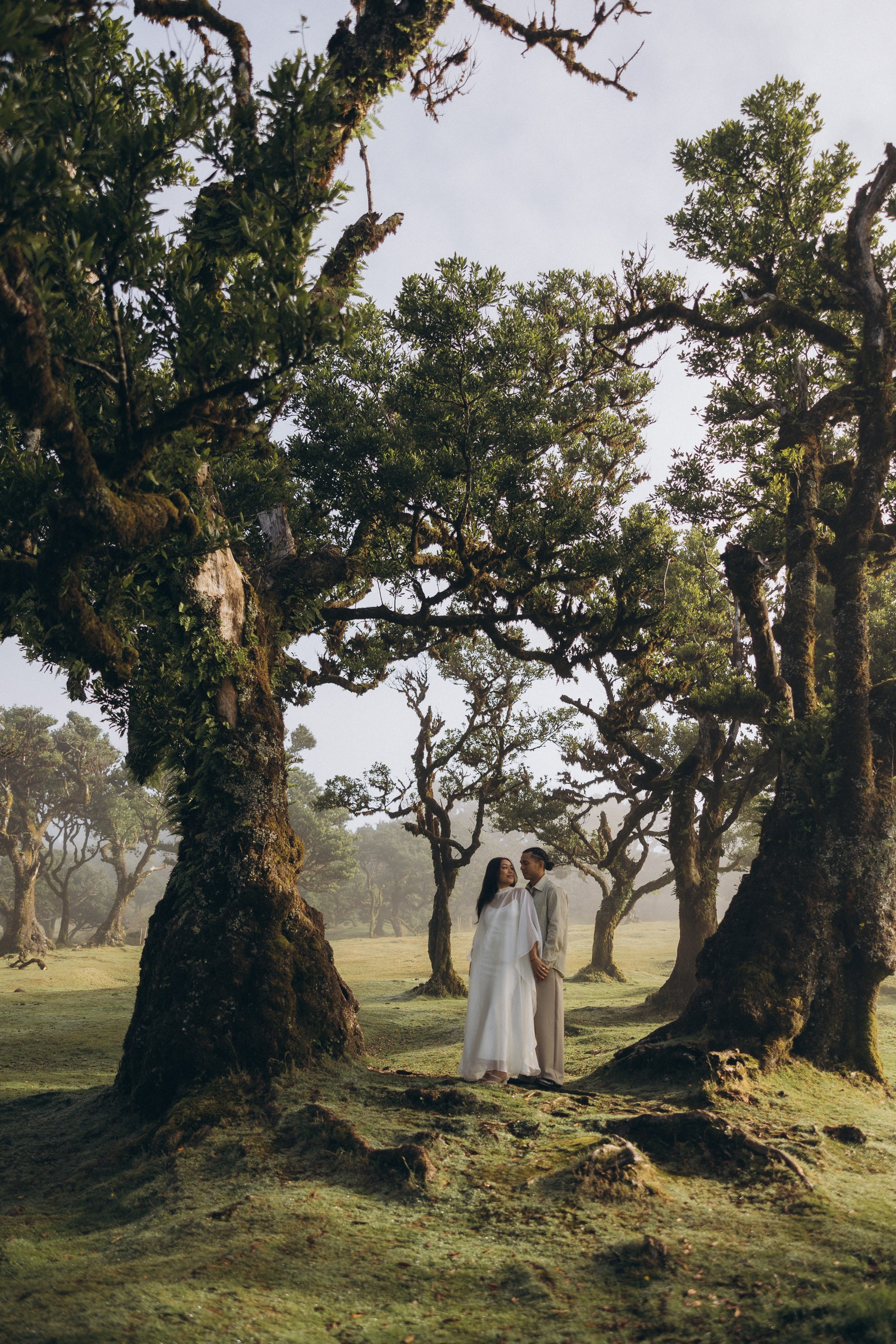 New photoshoots in Madeira: capture your moments!