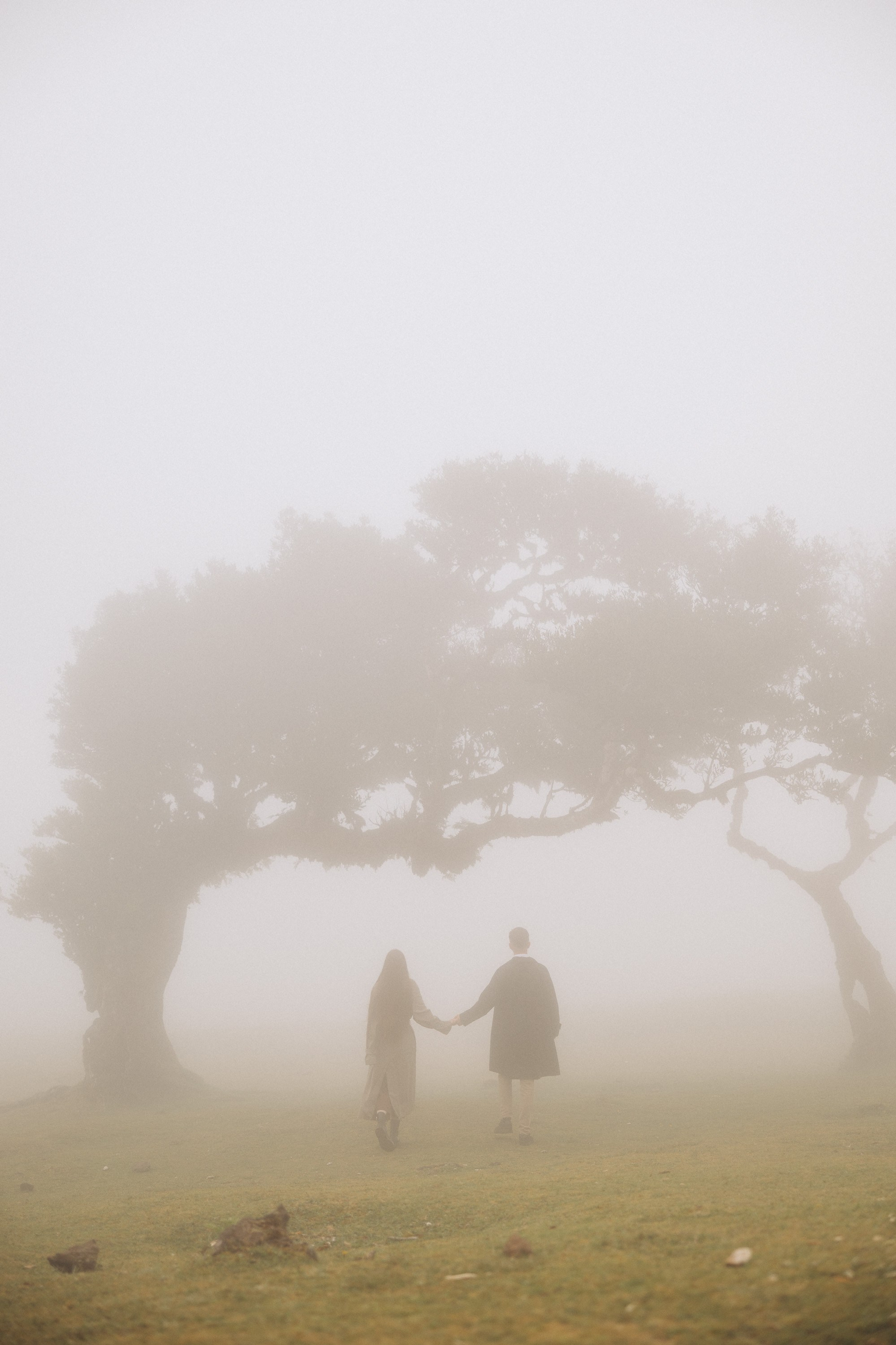 New photoshoots in Madeira: capture your moments!. Madeira photography | Capturing life’s beautiful moments