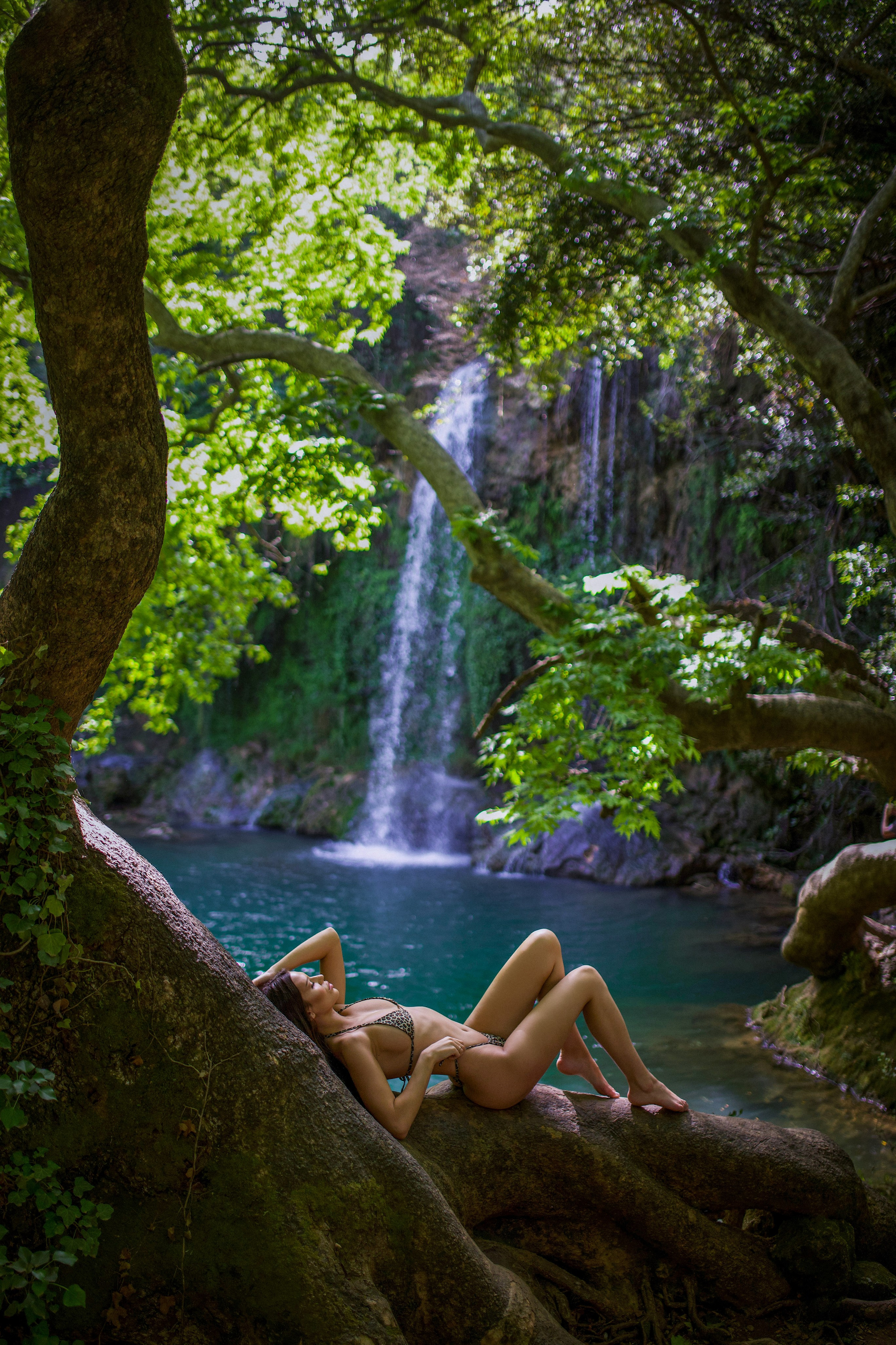 Календарь цветения в Турции. Фотограф в Турции | Алания, Сиде, Белек, Анталия, Кемер)
