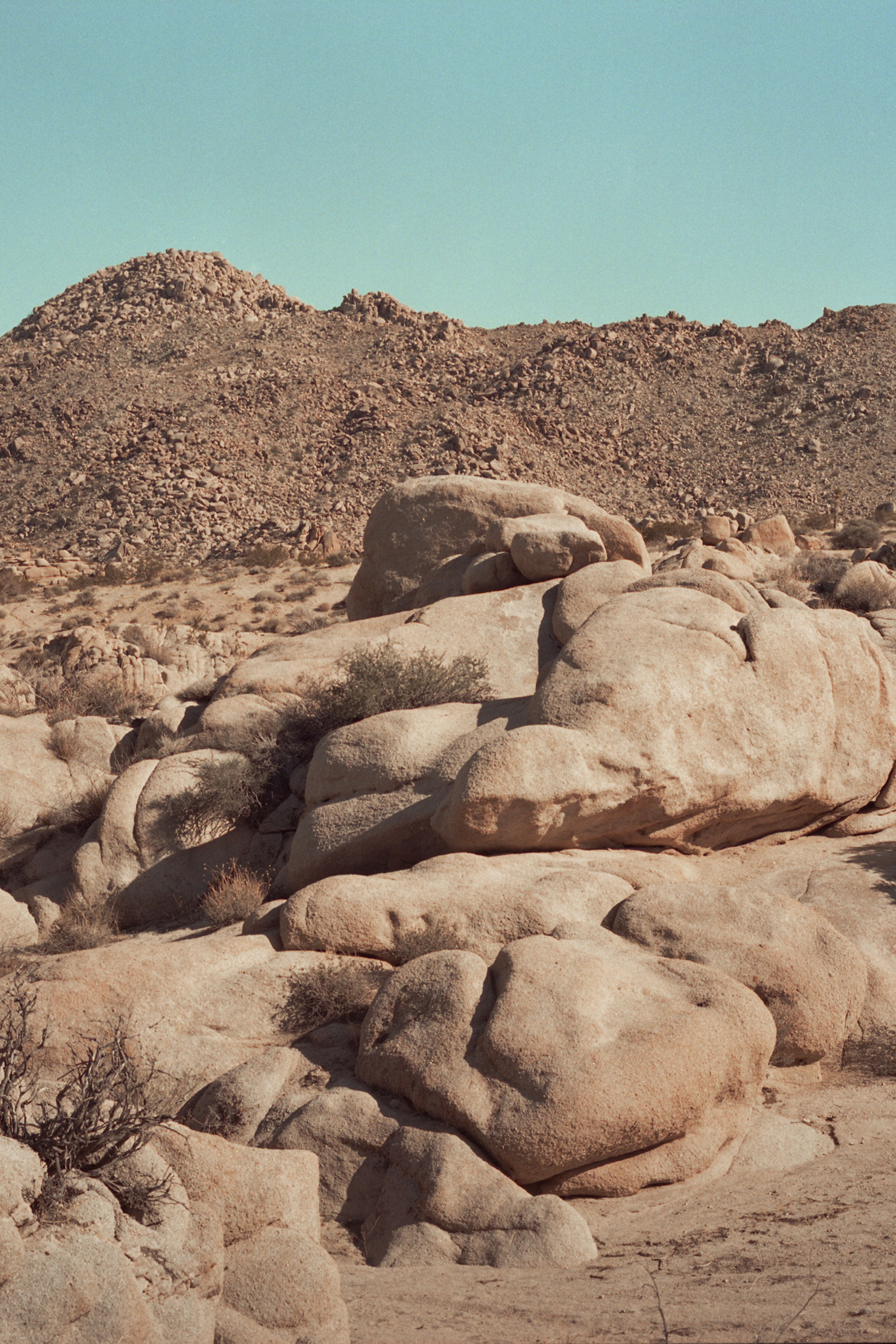 Salt & Desert
