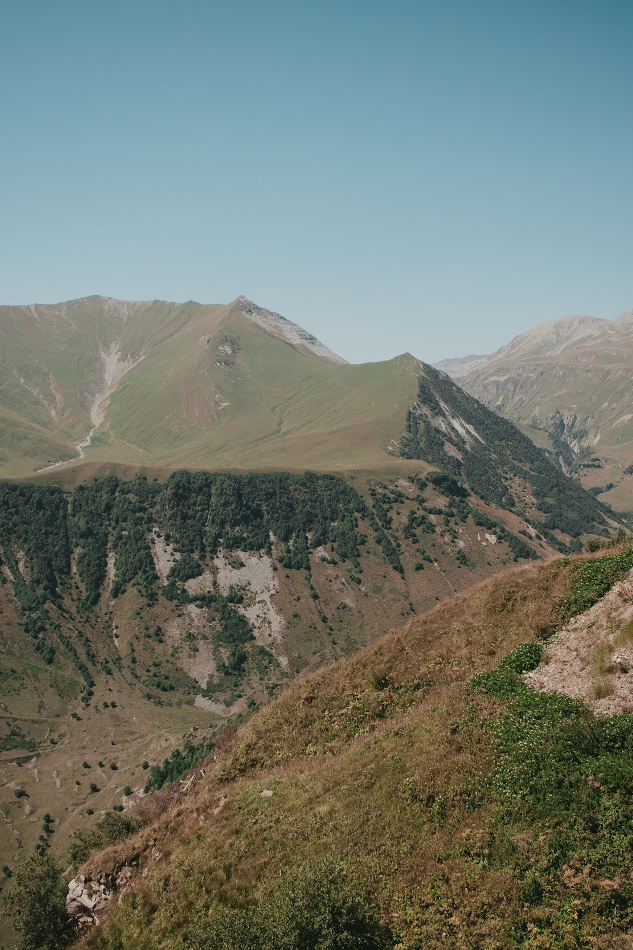 Wedding in Mountains of Georgia. Арт Ивент Студио — Самое рейтинговое свадебное агентство в Грузии