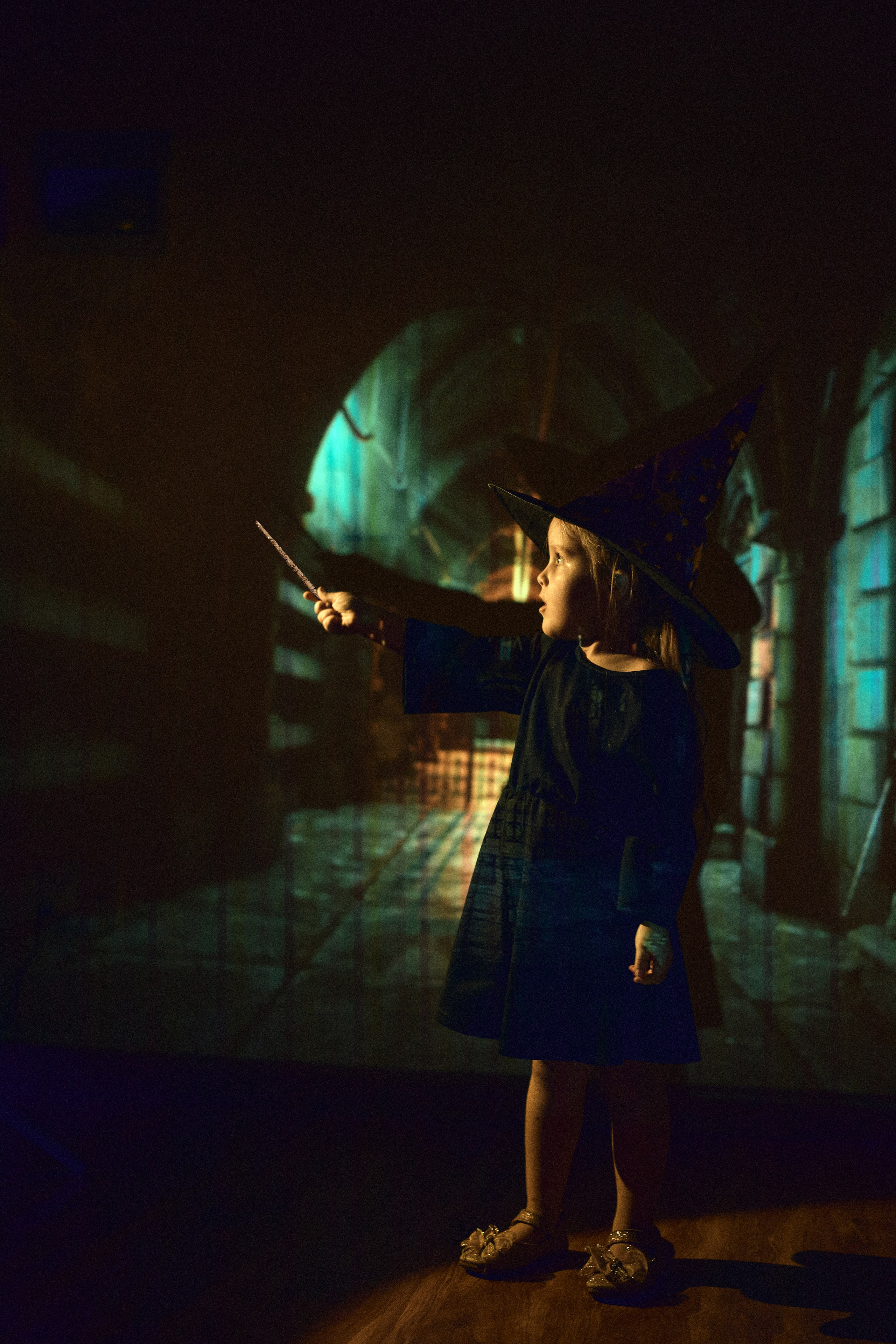 Projector Series