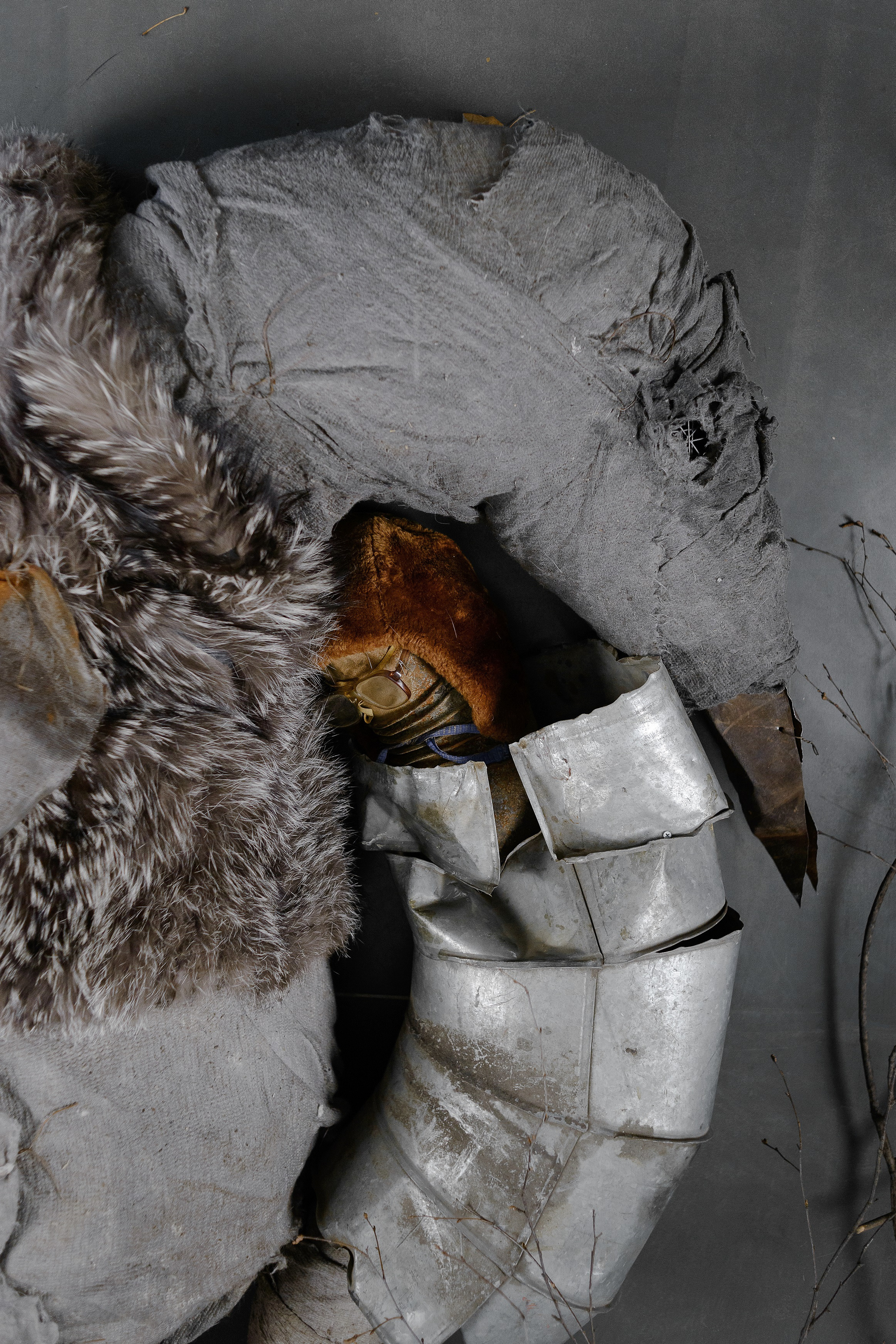 The bird and the boy, 2019