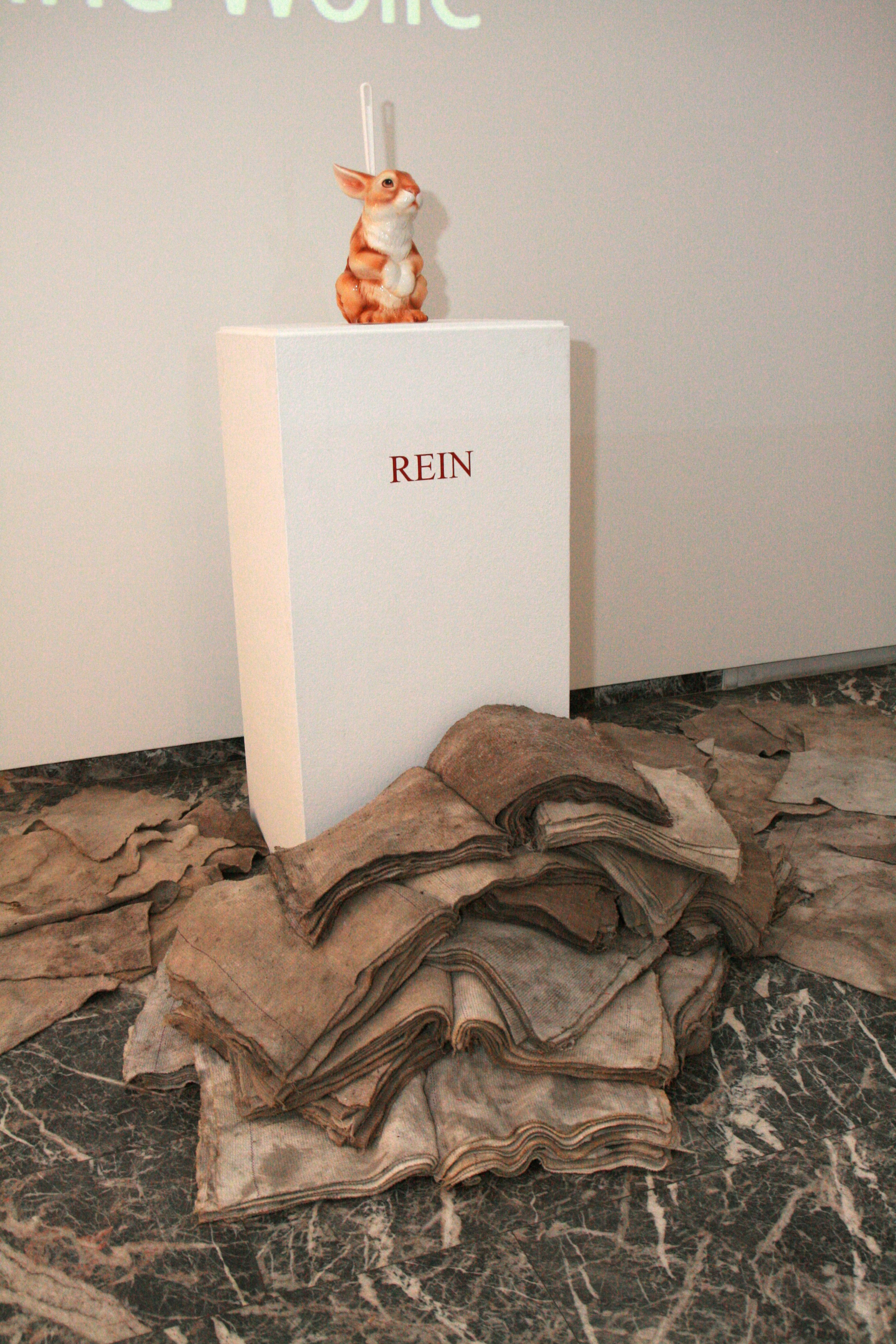 Rein (Clean), 2011