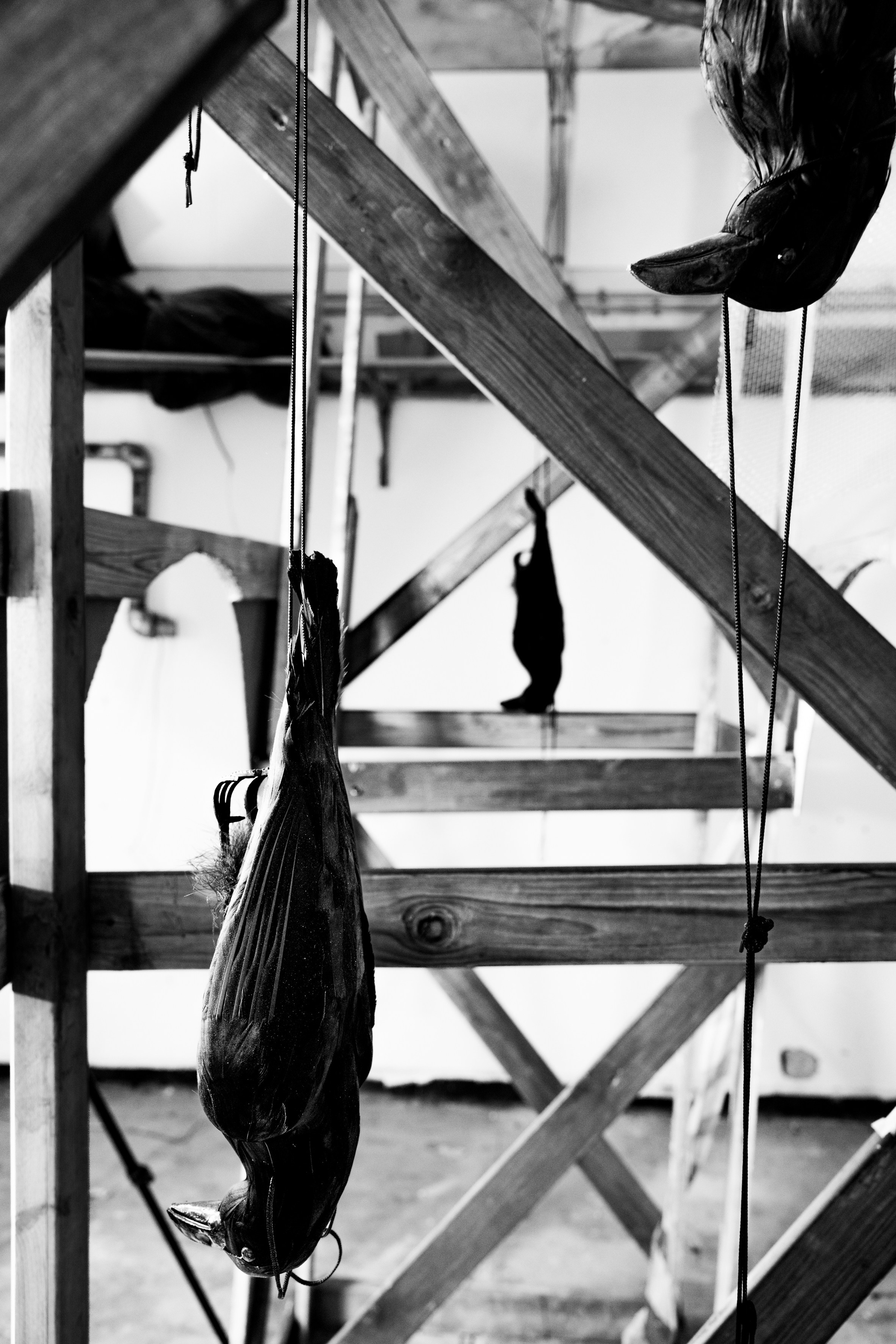 The Victory Museum, 2025