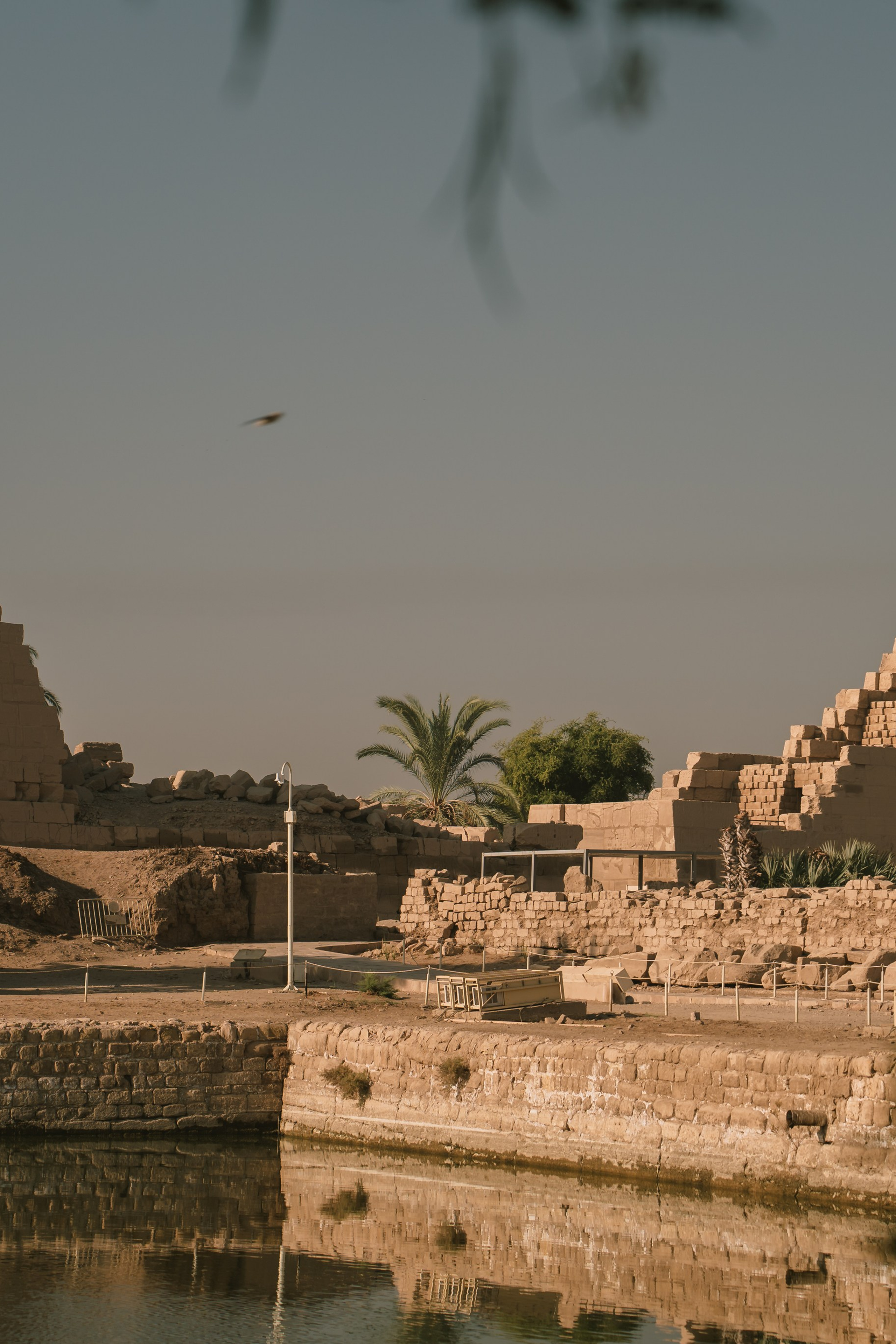 Ancient Egypt Adventure. Коммьюнити фотограф, Москва, Сергей Зворыгин
