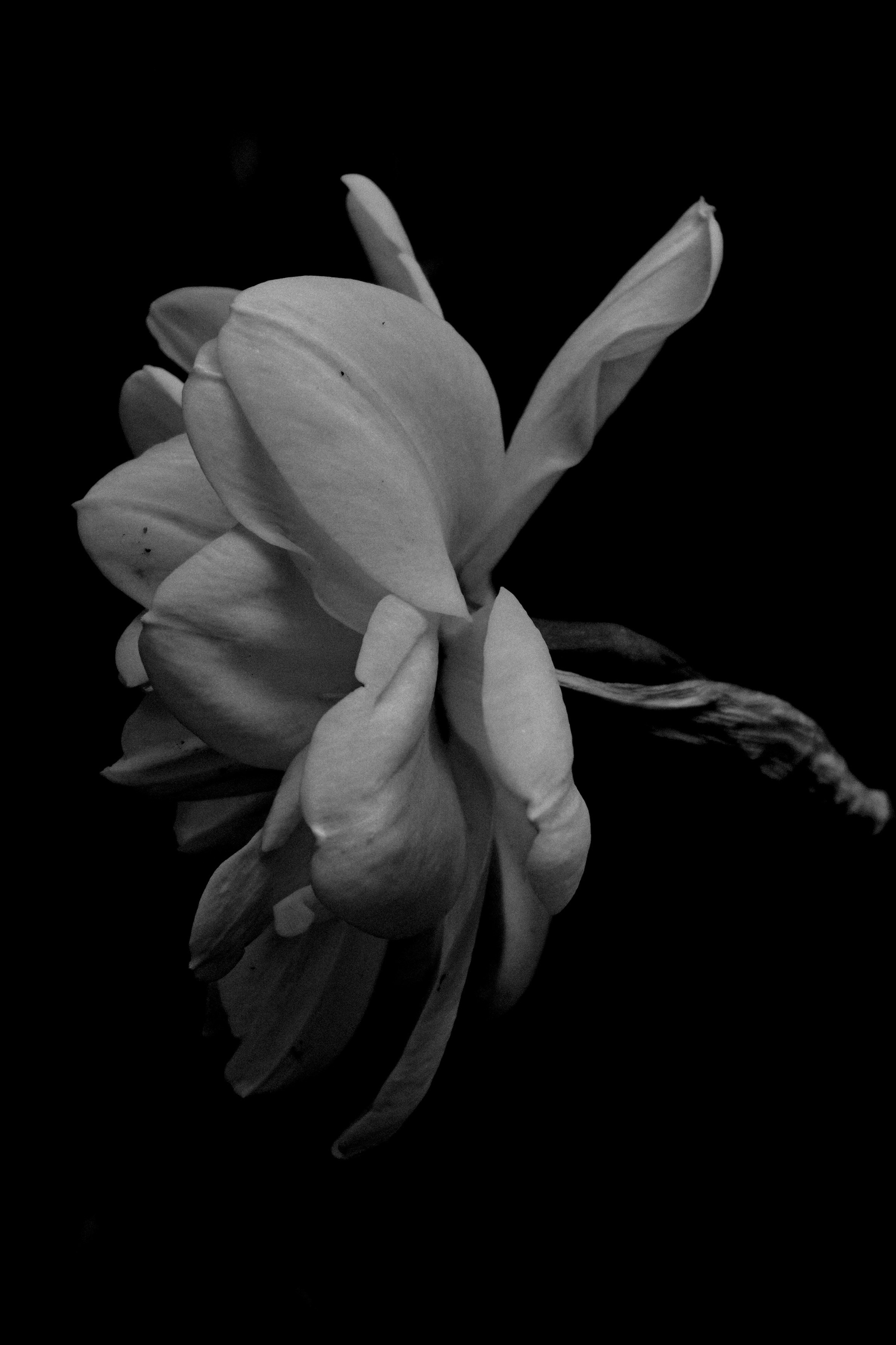 Meeste ja naiste fotograaf Tallinnas Anna Sipari