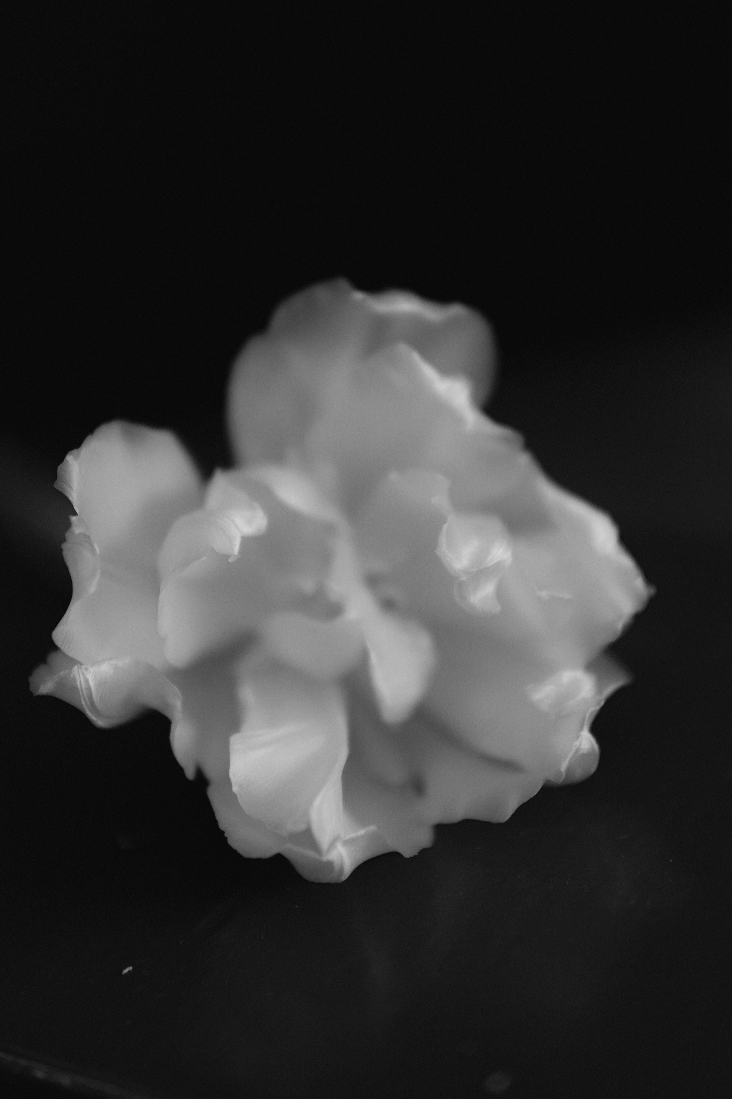 Meeste ja naiste fotograaf Tallinnas Anna Sipari