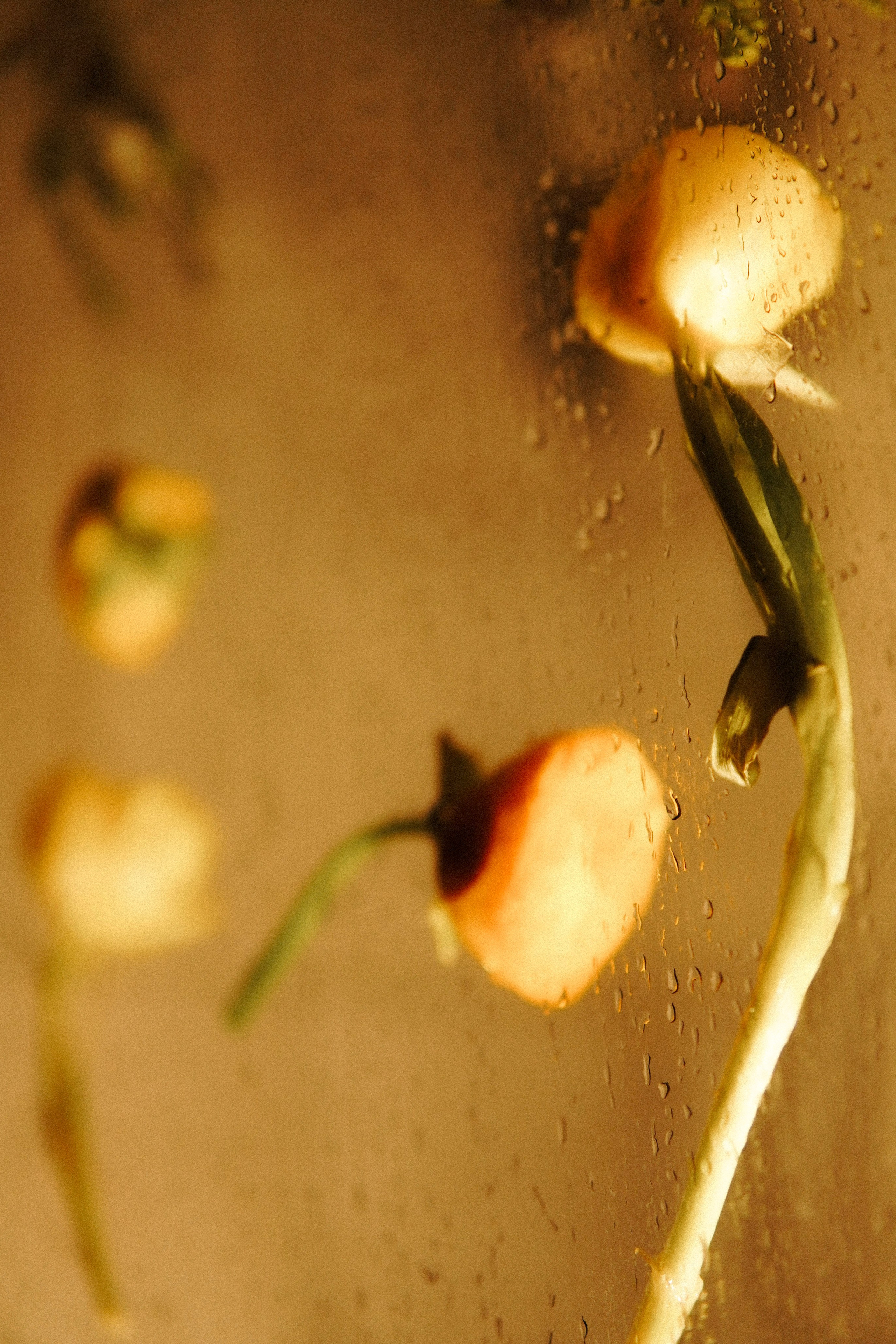 Meeste ja naiste fotograaf Tallinnas Anna Sipari