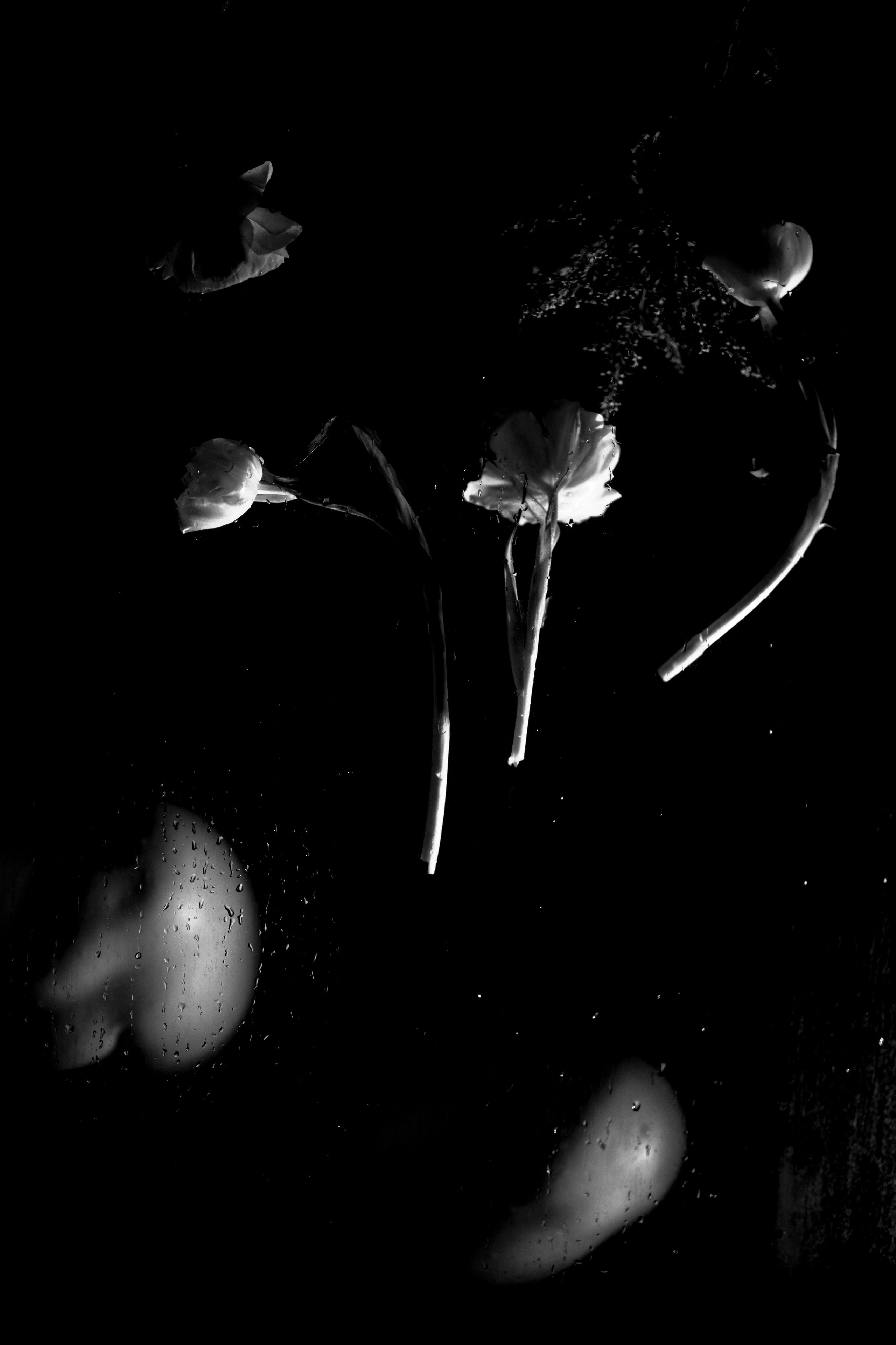 Meeste ja naiste fotograaf Tallinnas Anna Sipari