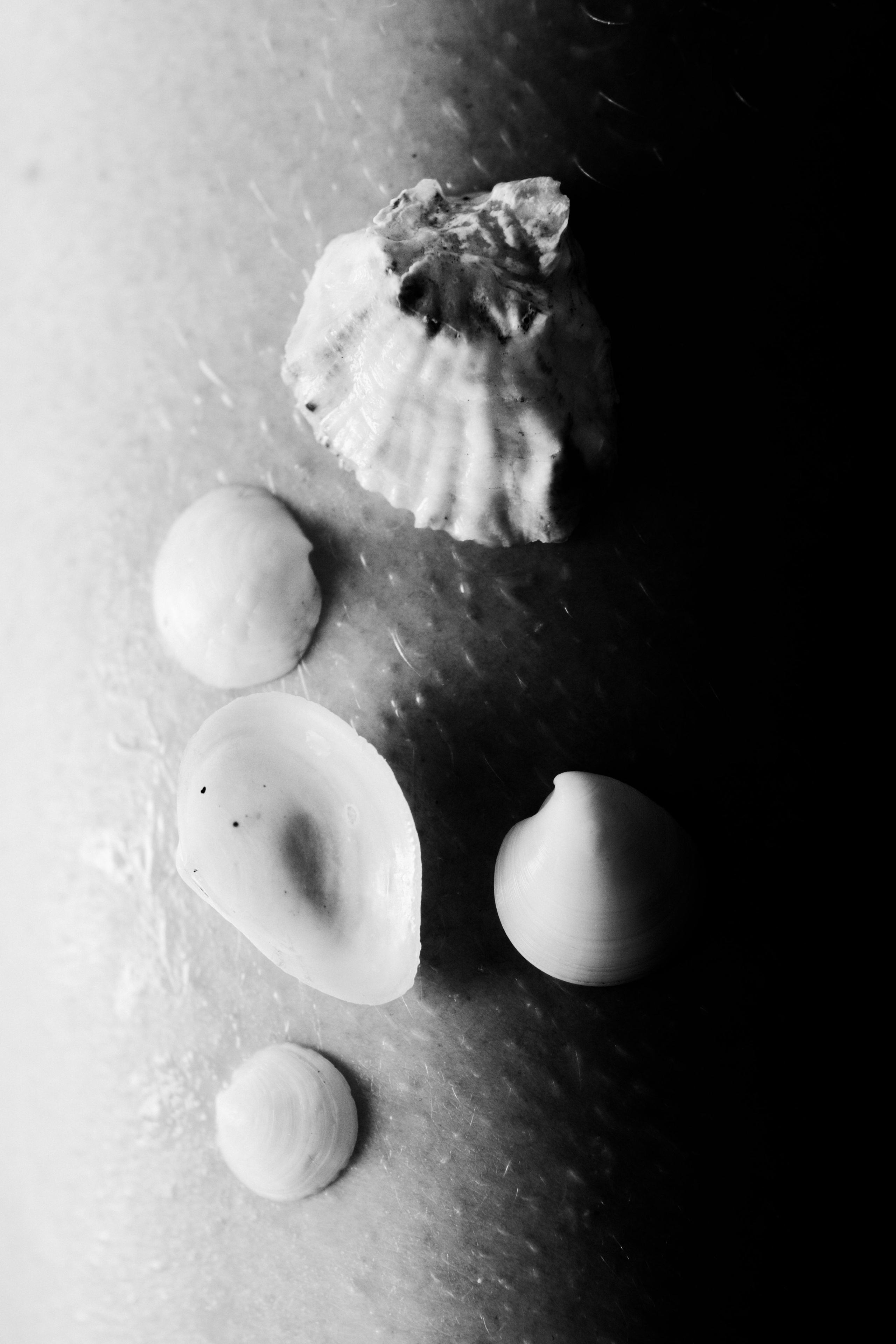 Meeste ja naiste fotograaf Tallinnas Anna Sipari