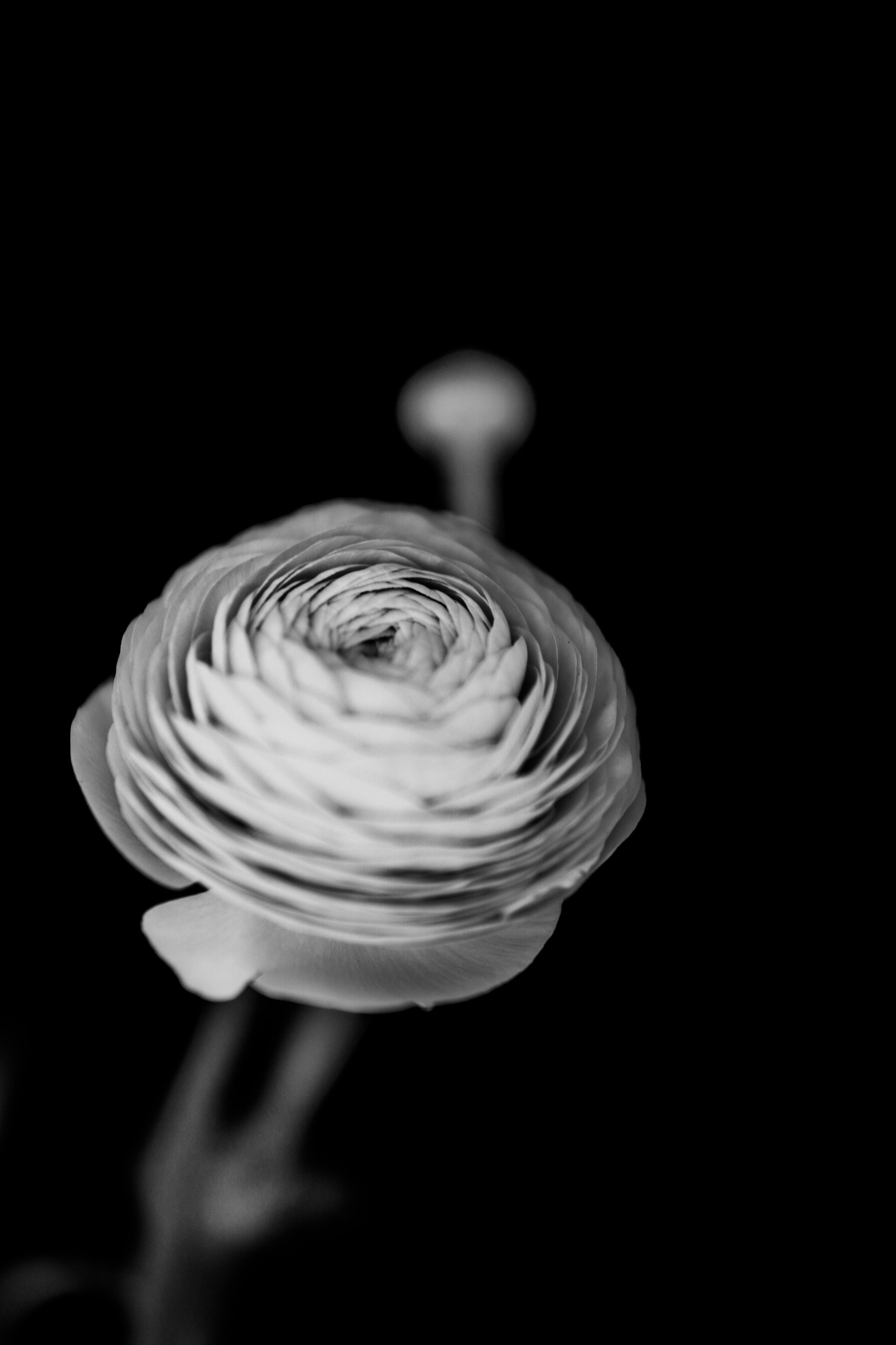 Meeste ja naiste fotograaf Tallinnas Anna Sipari