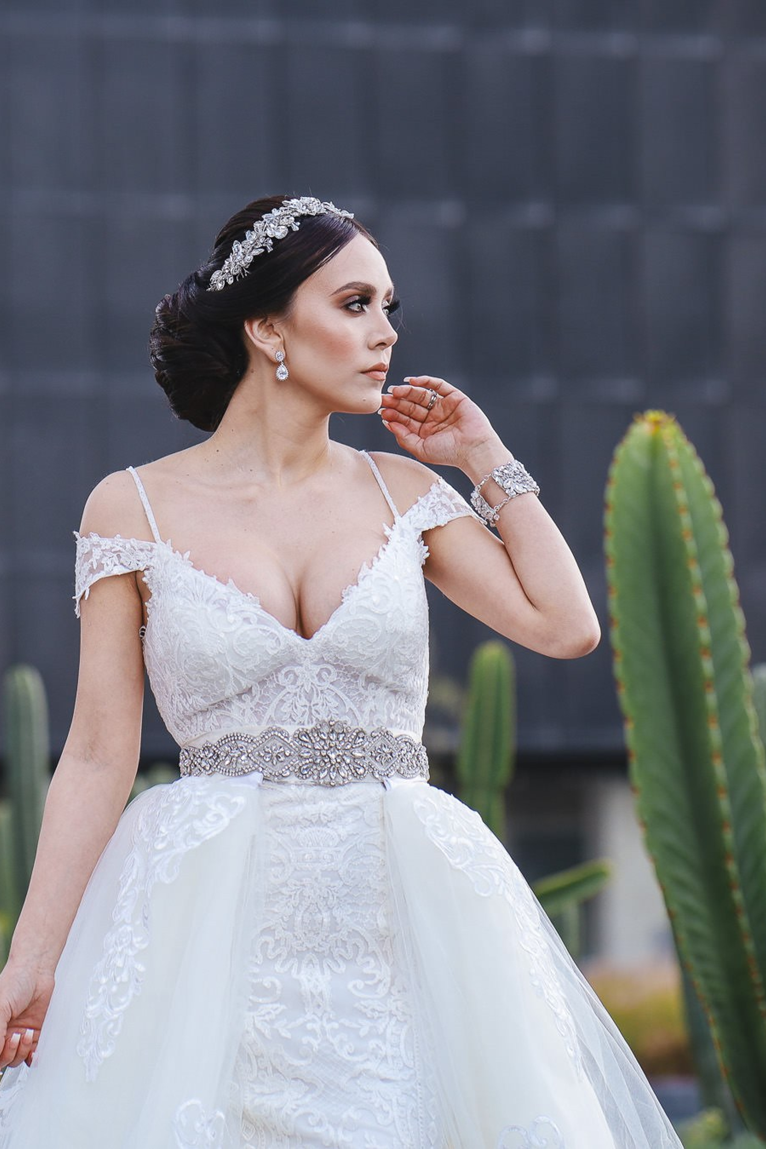 LA Cetto Valle de Guadalupe Boda Araceli e Israel. Estudio de fotografia en Tijuana